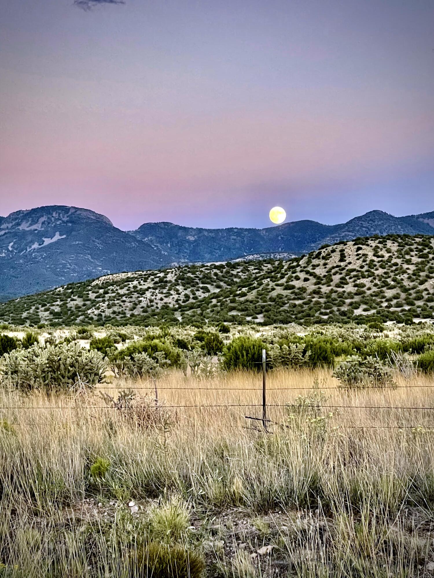 132 Dark Canyon Road