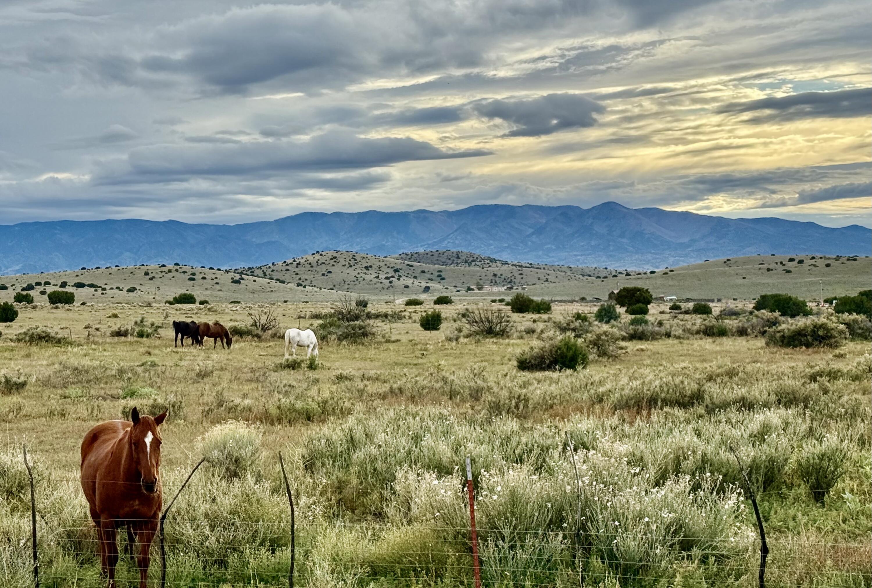 132 Dark Canyon Road