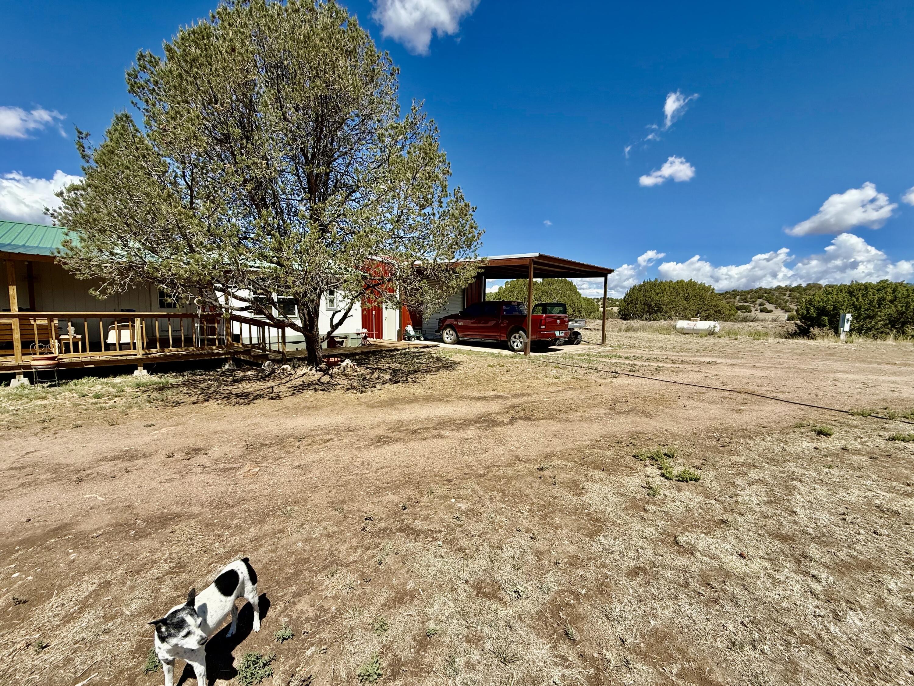 132 Dark Canyon Road