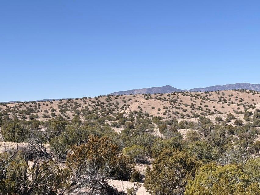 Lot 124 Abbe Springs
