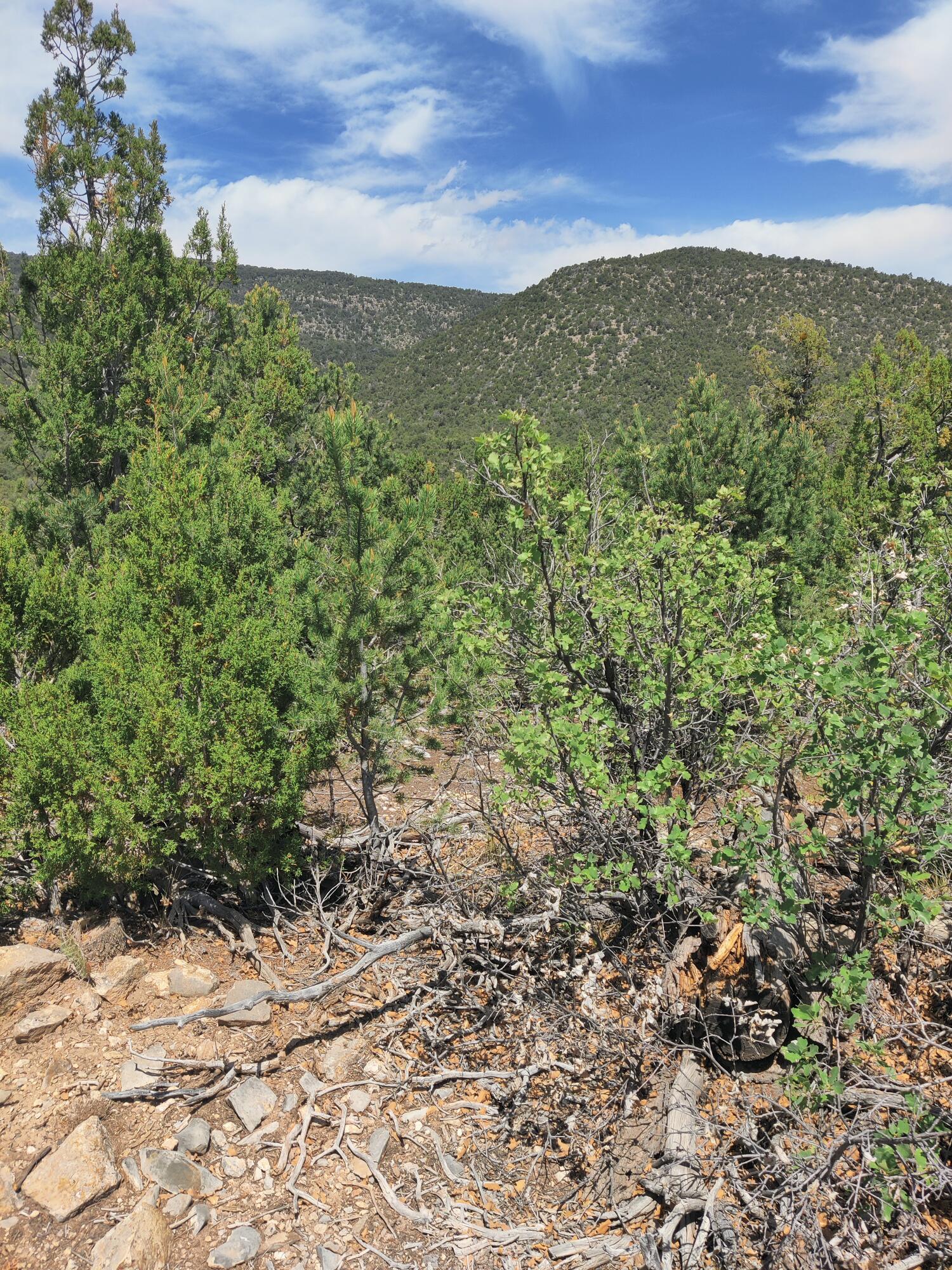 Skyline Lot 14 Place