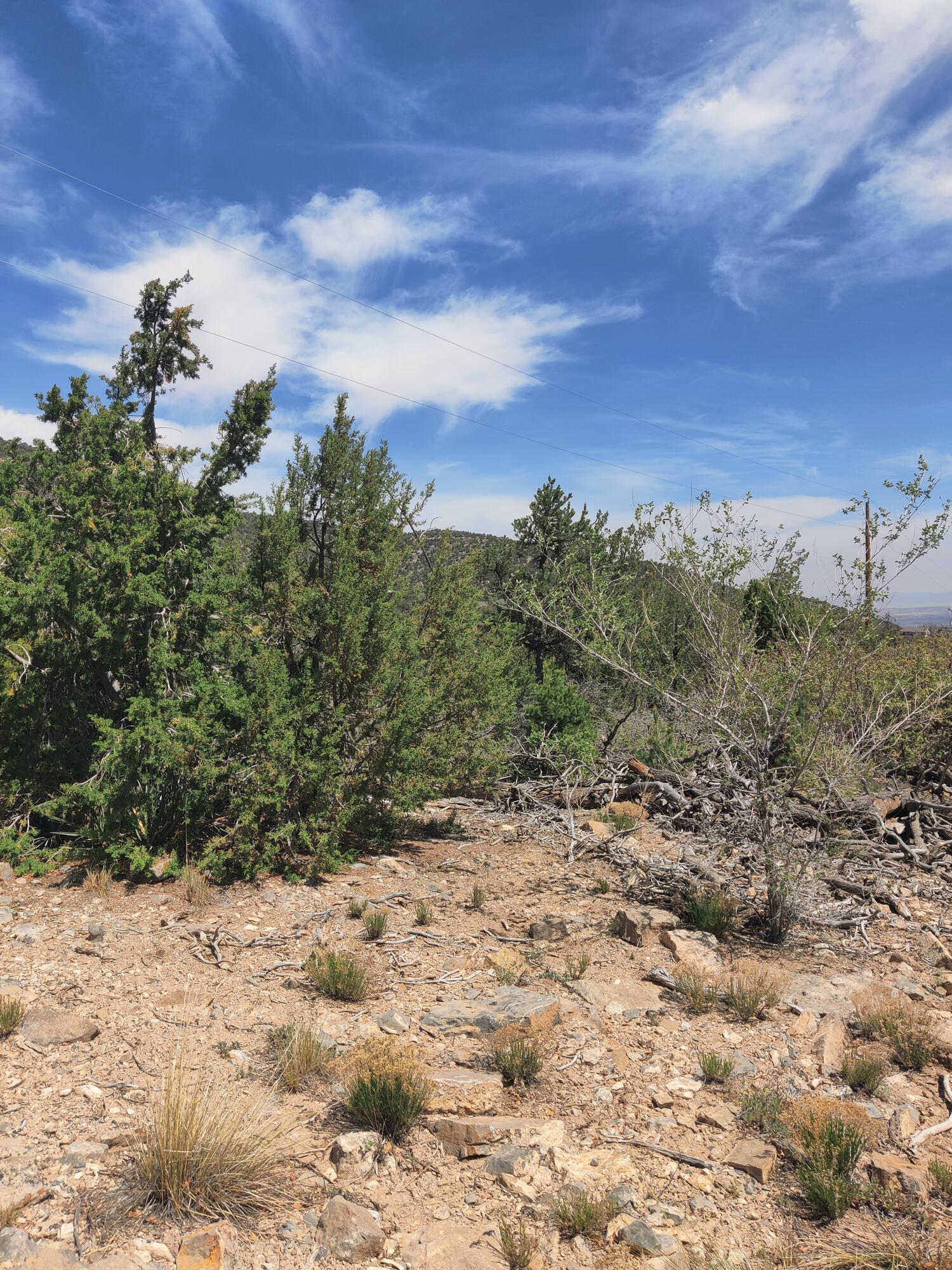 Skyline Lot 14 Place