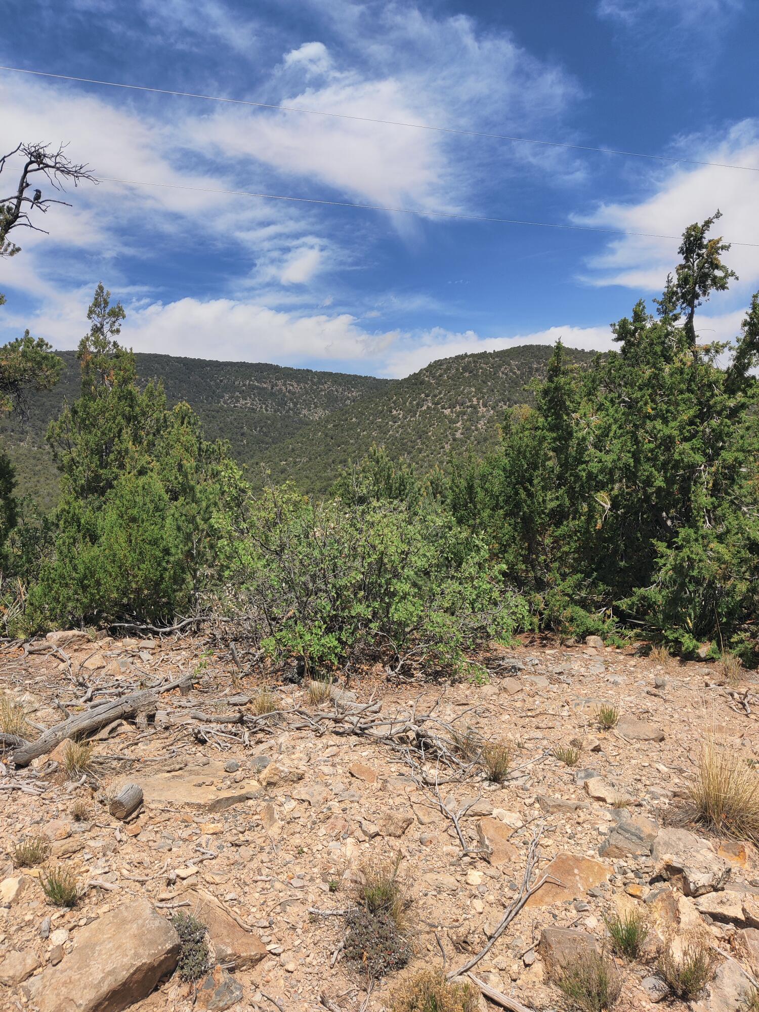 Skyline Lot 14 Place