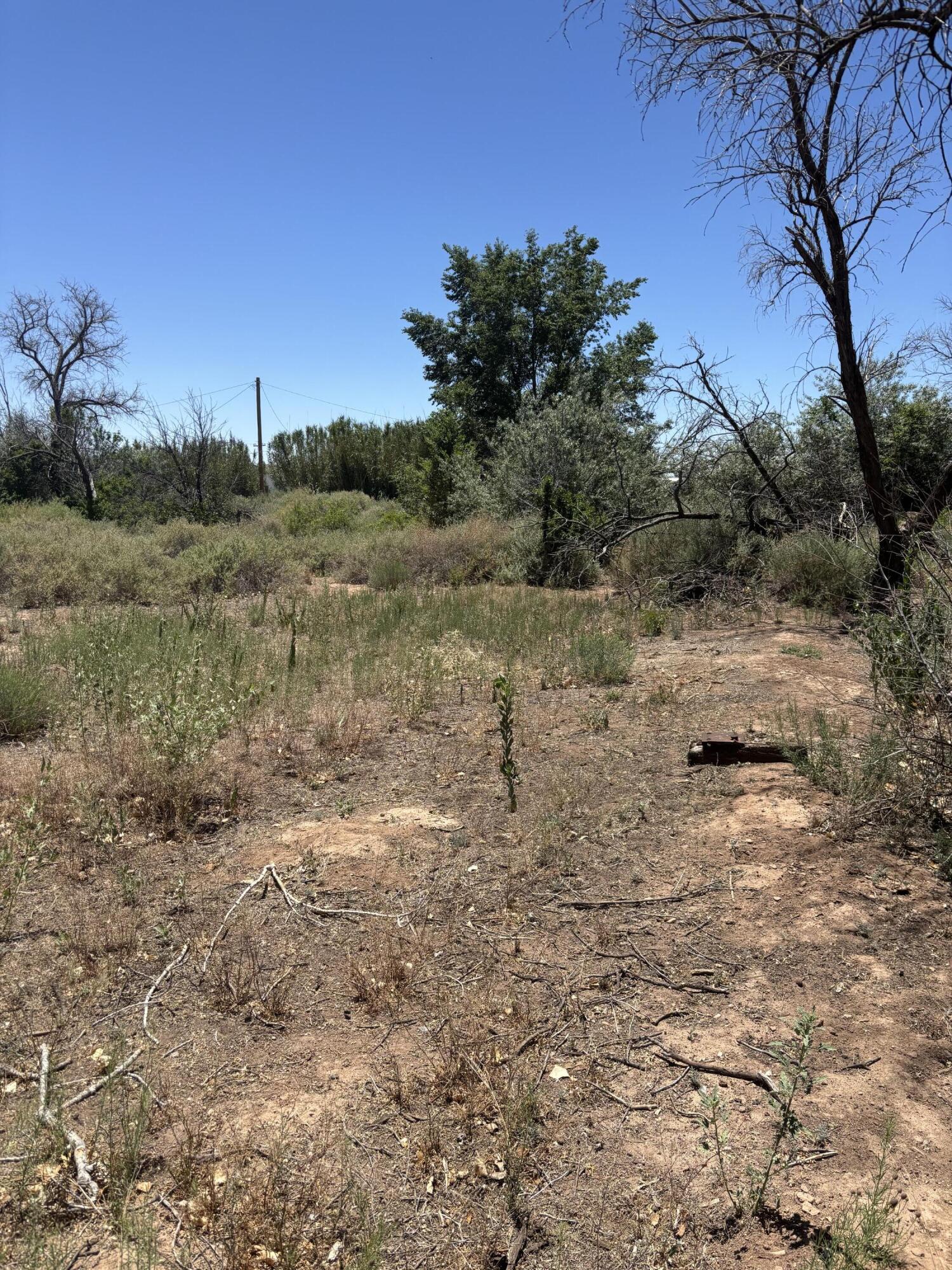 163 A NM Highway 116
