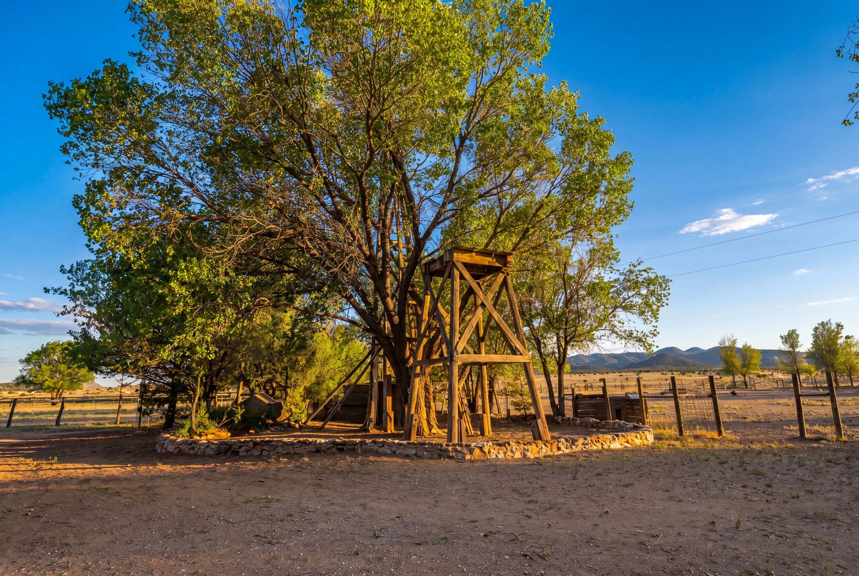 116 Thomas Ranch Rd. Road