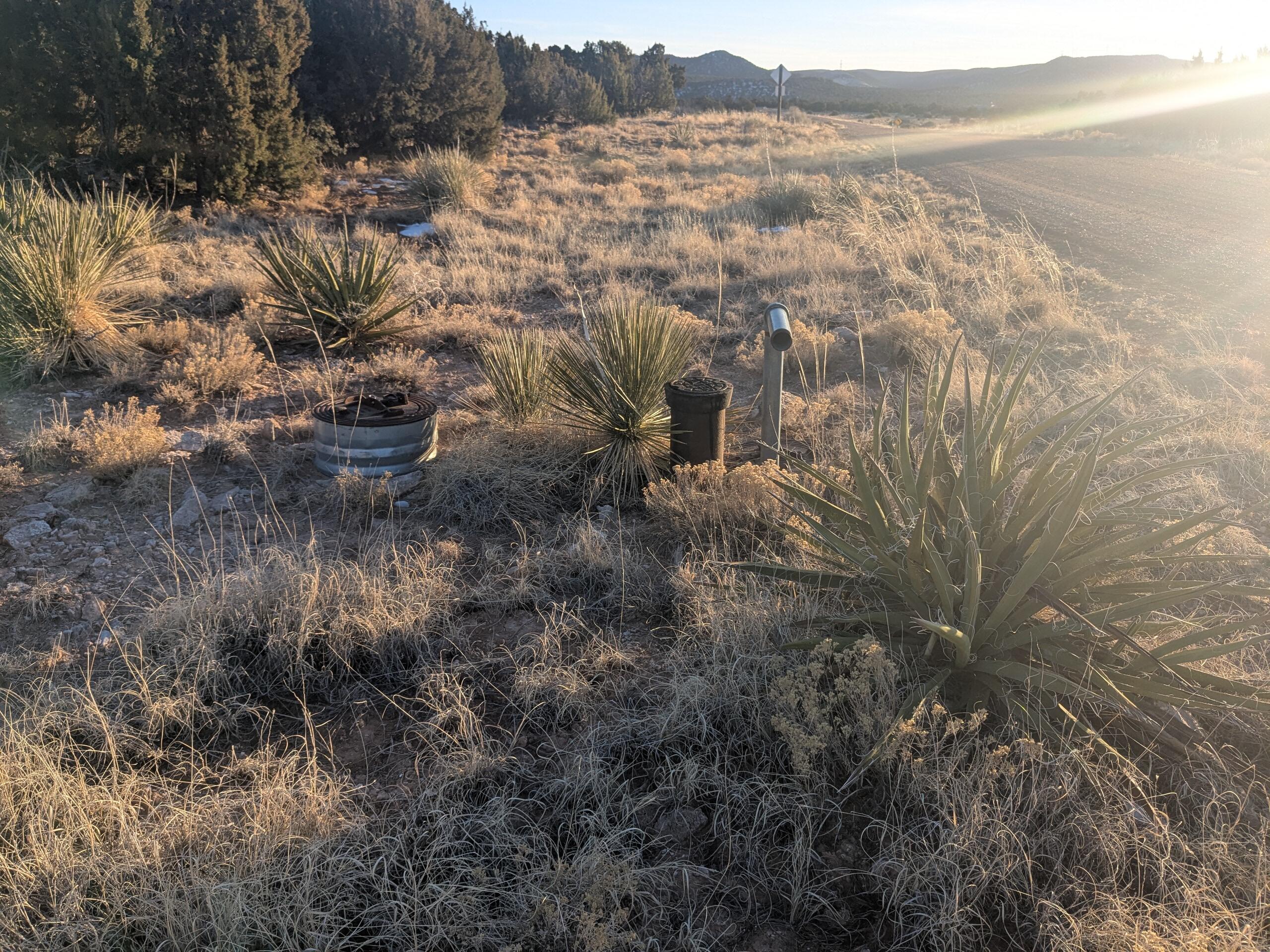 1854 Deer Canyon Trail
