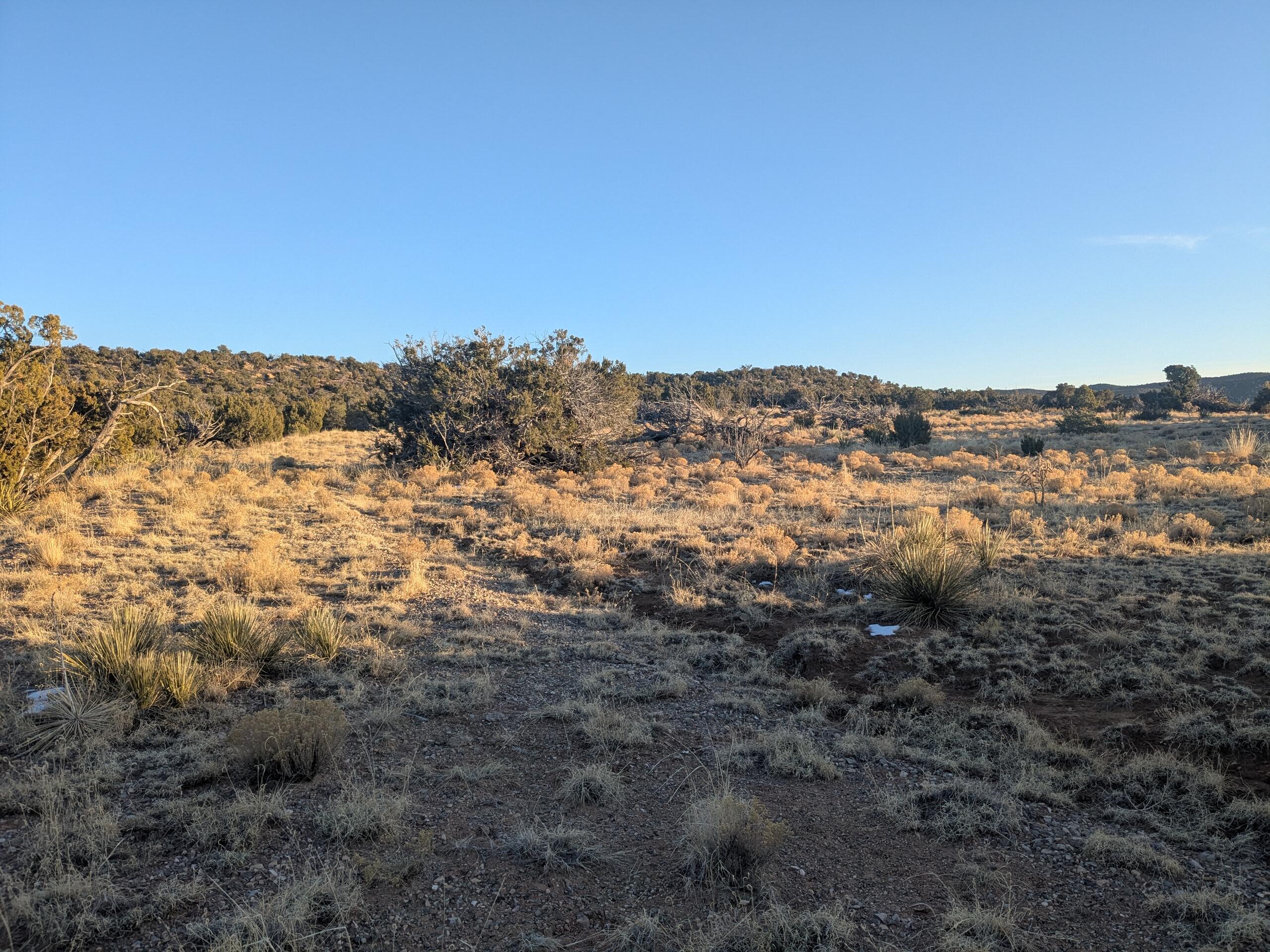 1854 Deer Canyon Trail
