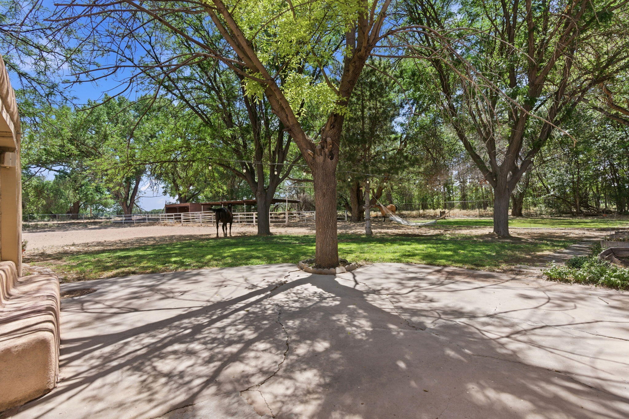 170 El Cerro Loop
