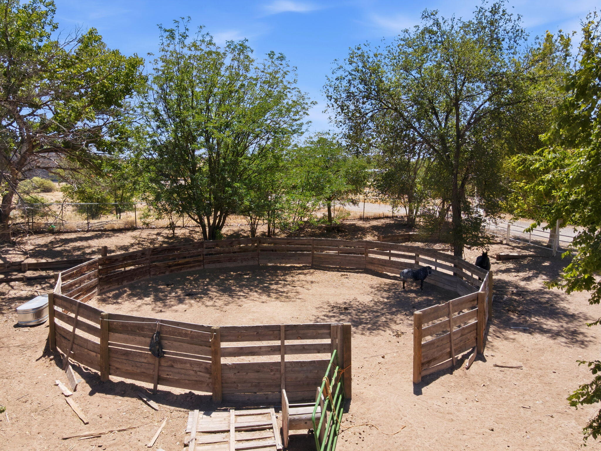 170 El Cerro Loop
