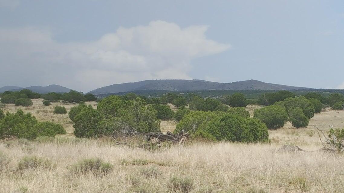 Lot 188 Pinon Springs Ranches