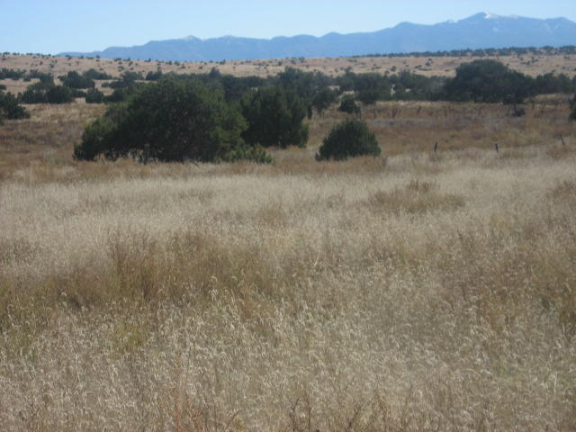 Lot 188 Pinon Springs Ranches