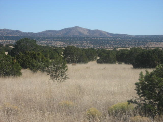 Lot 188 Pinon Springs Ranches
