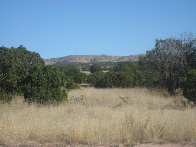 Lot 188 Pinon Springs Ranches