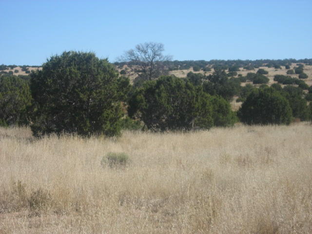 Lot 188 Pinon Springs Ranches