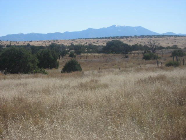 Lot 188 Pinon Springs Ranches
