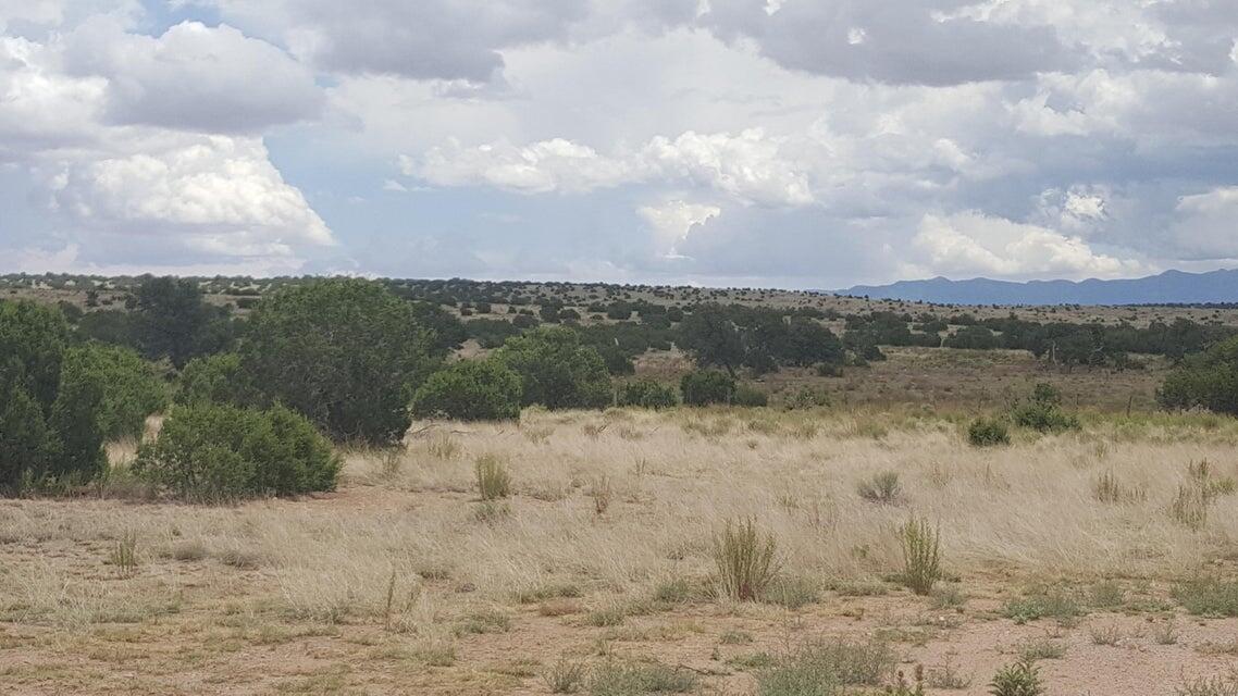 Lot 188 Pinon Springs Ranches