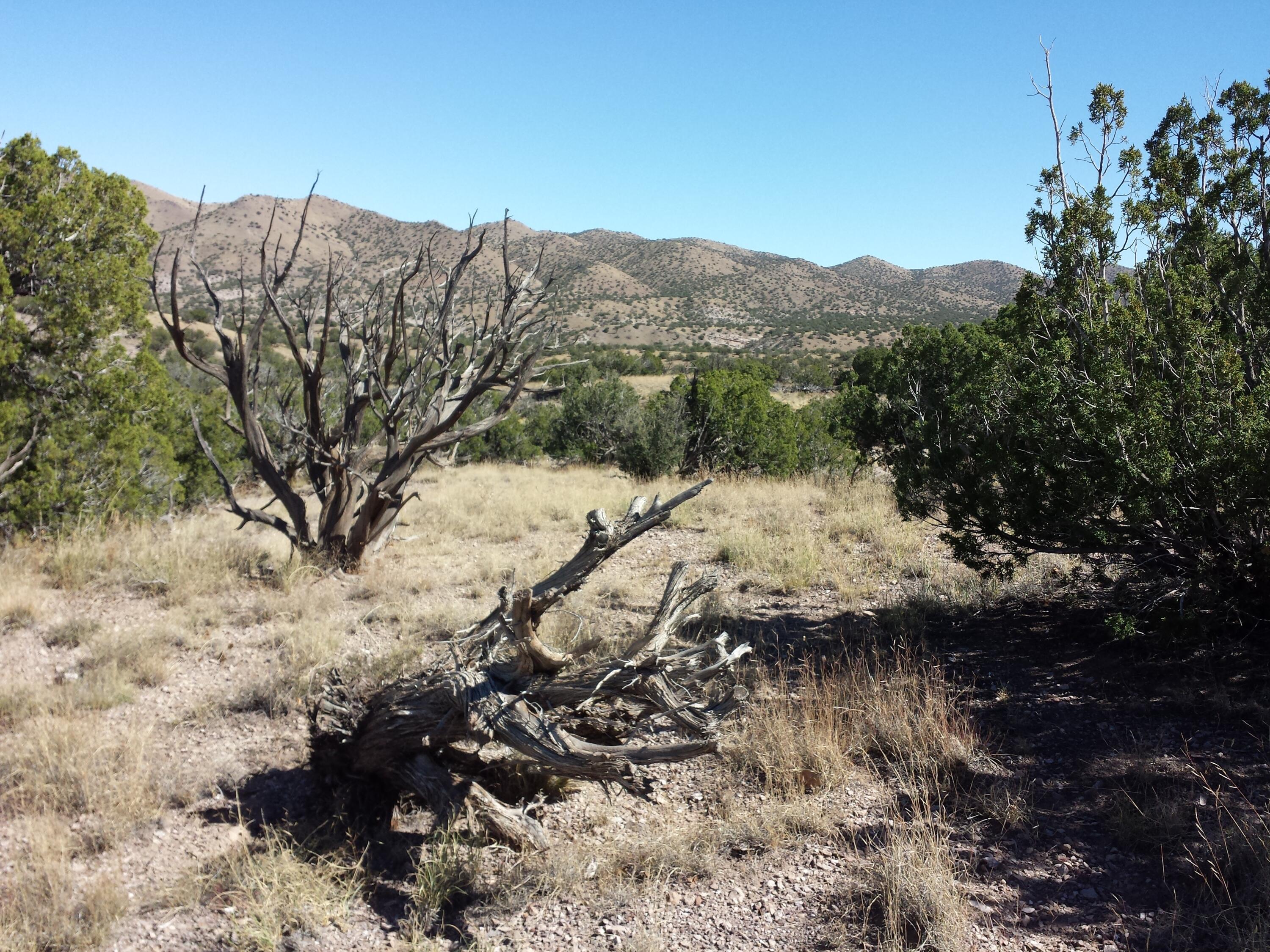 Abbe Springs Ranches Lot 115