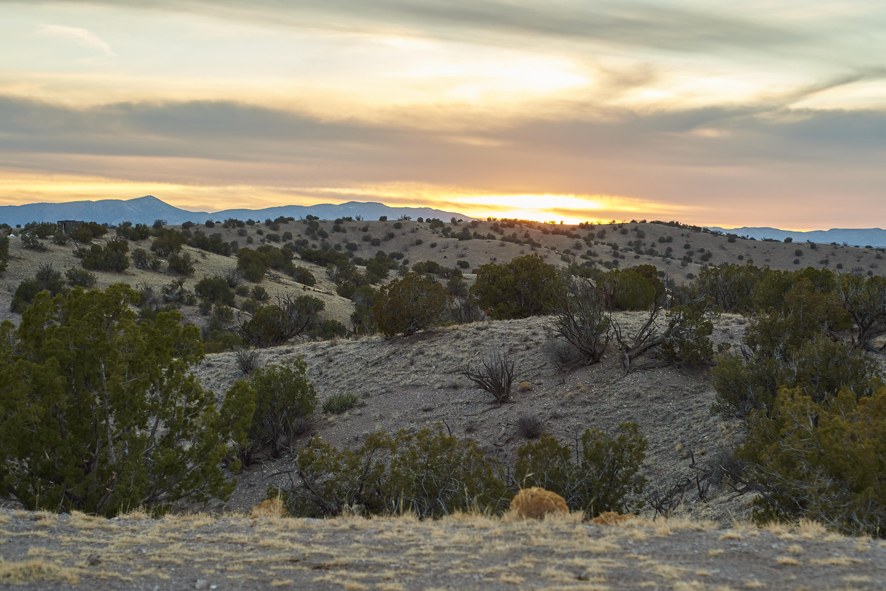 Abbe Springs Ranches Lot 115