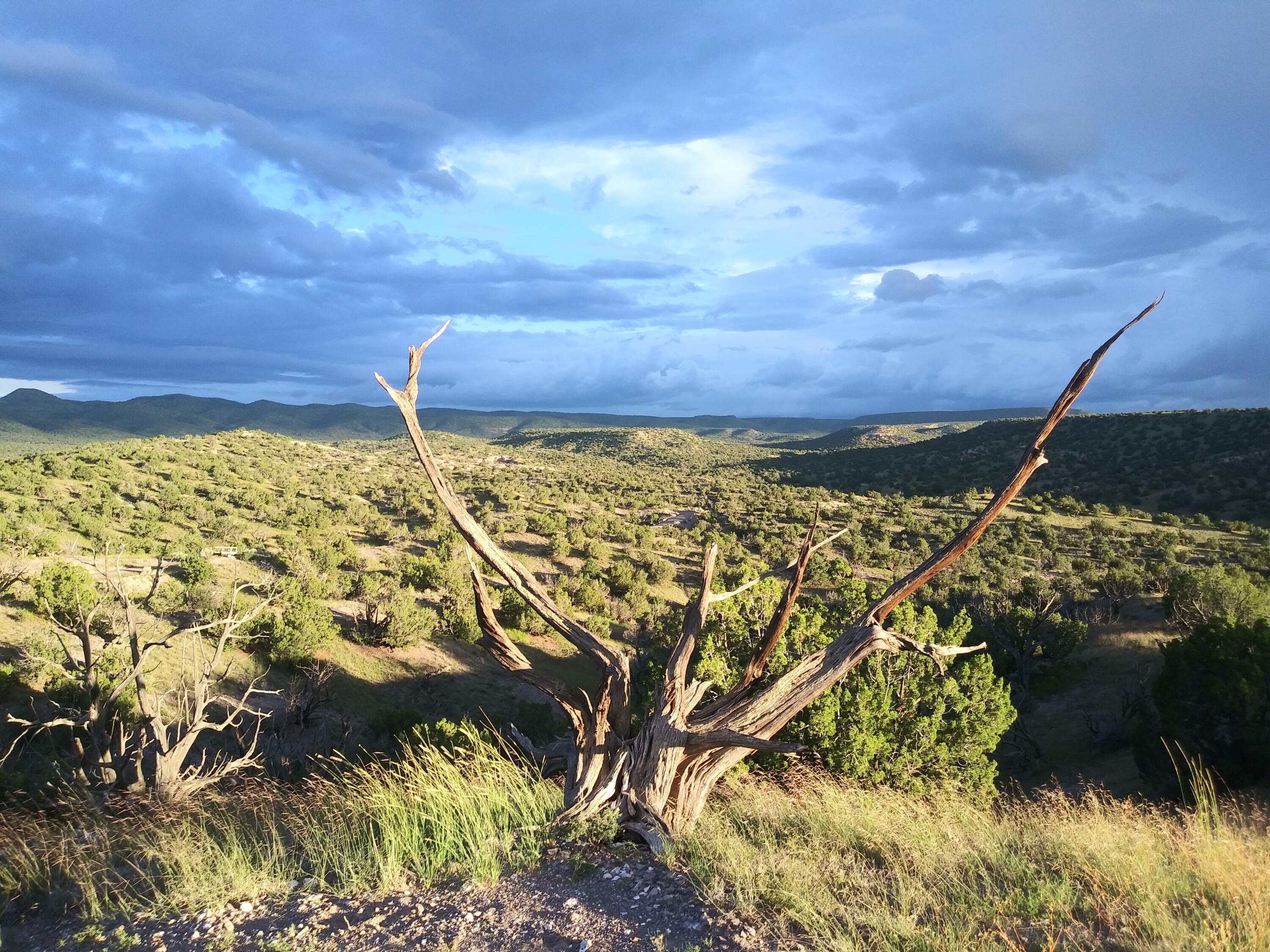 Abbe Springs Ranches Lot 115
