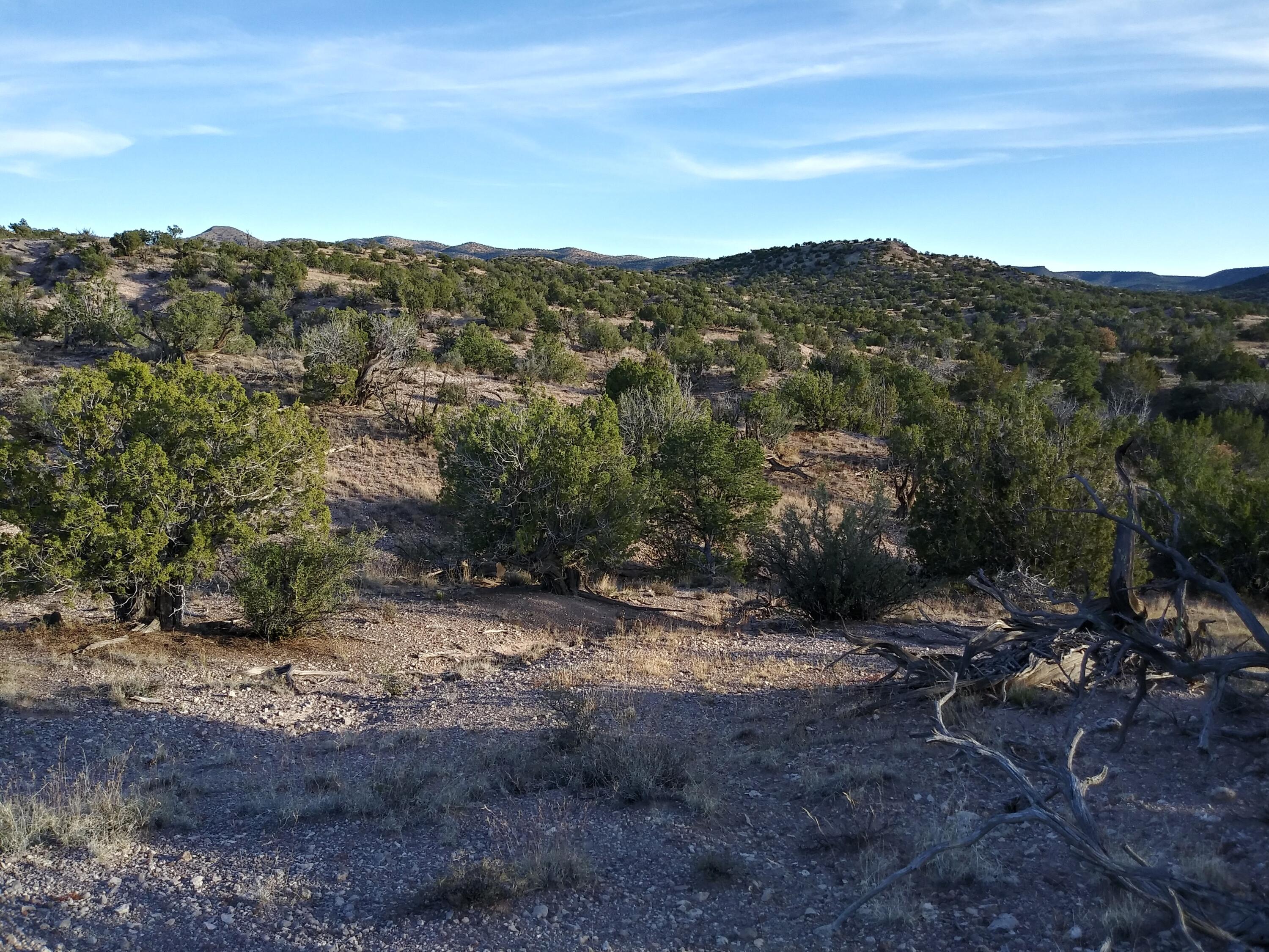 Abbe Springs Ranches Lot 115