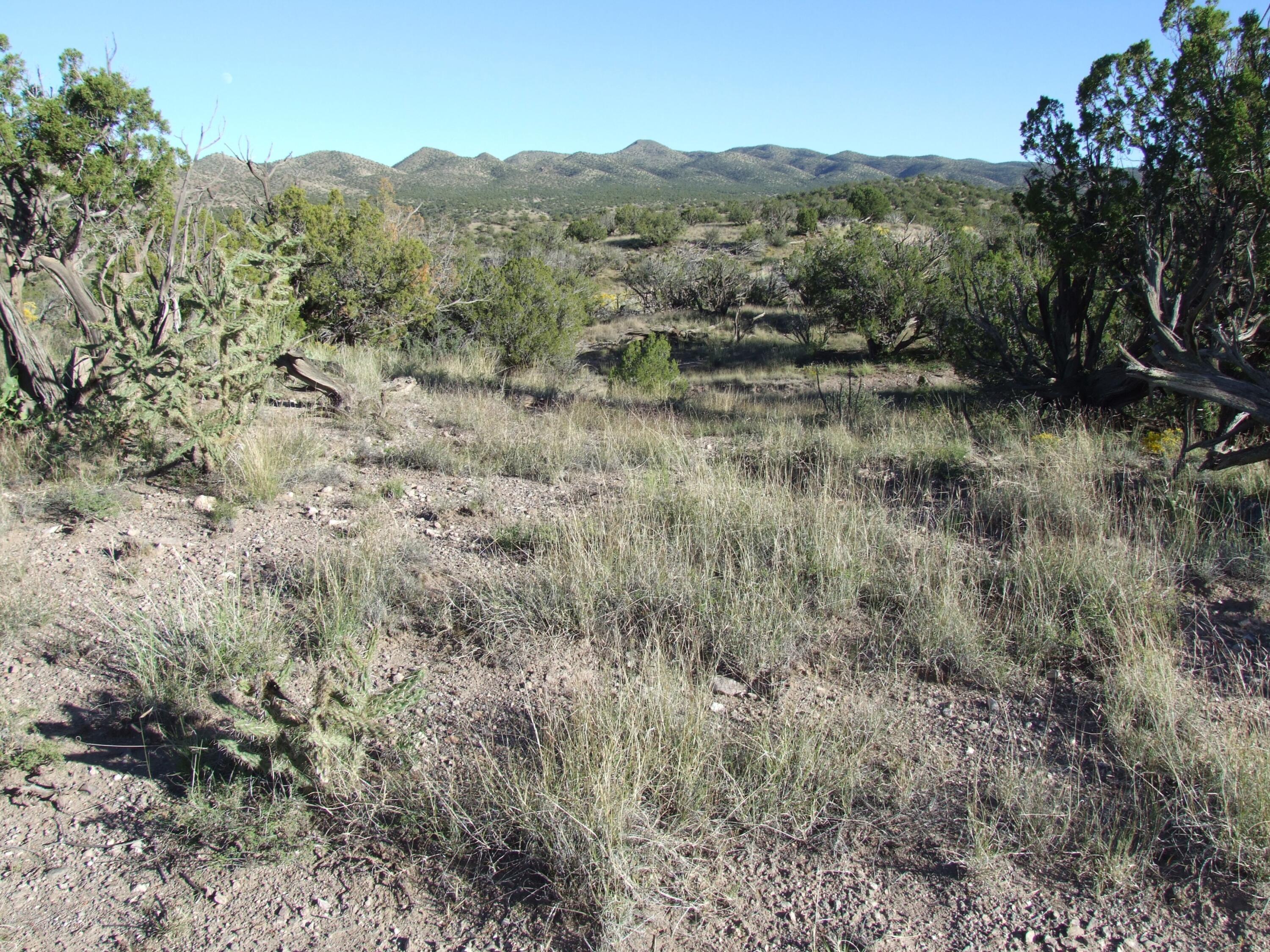 Abbe Springs Ranches Lot 115