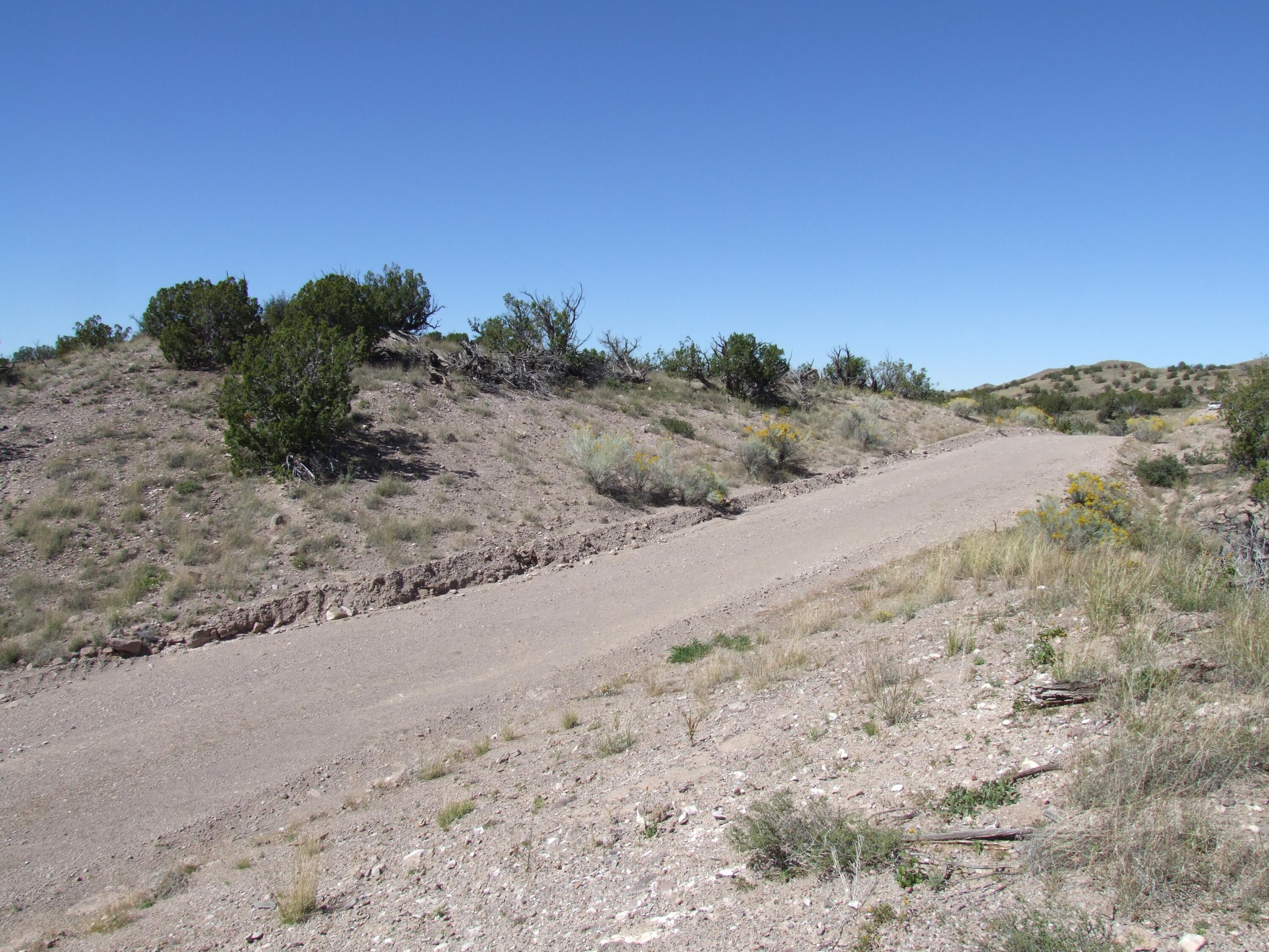 Abbe Springs Ranches Lot 115
