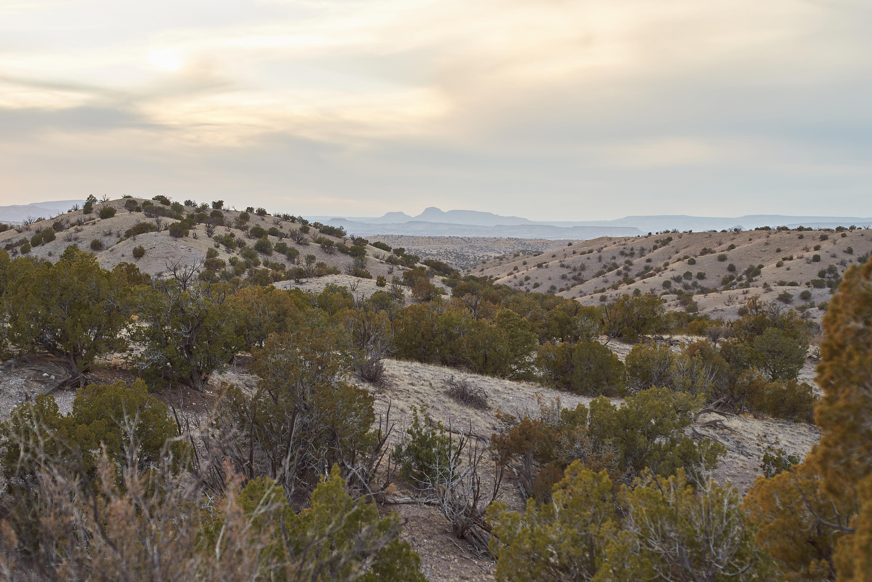 Abbe Springs Ranches Lot 115
