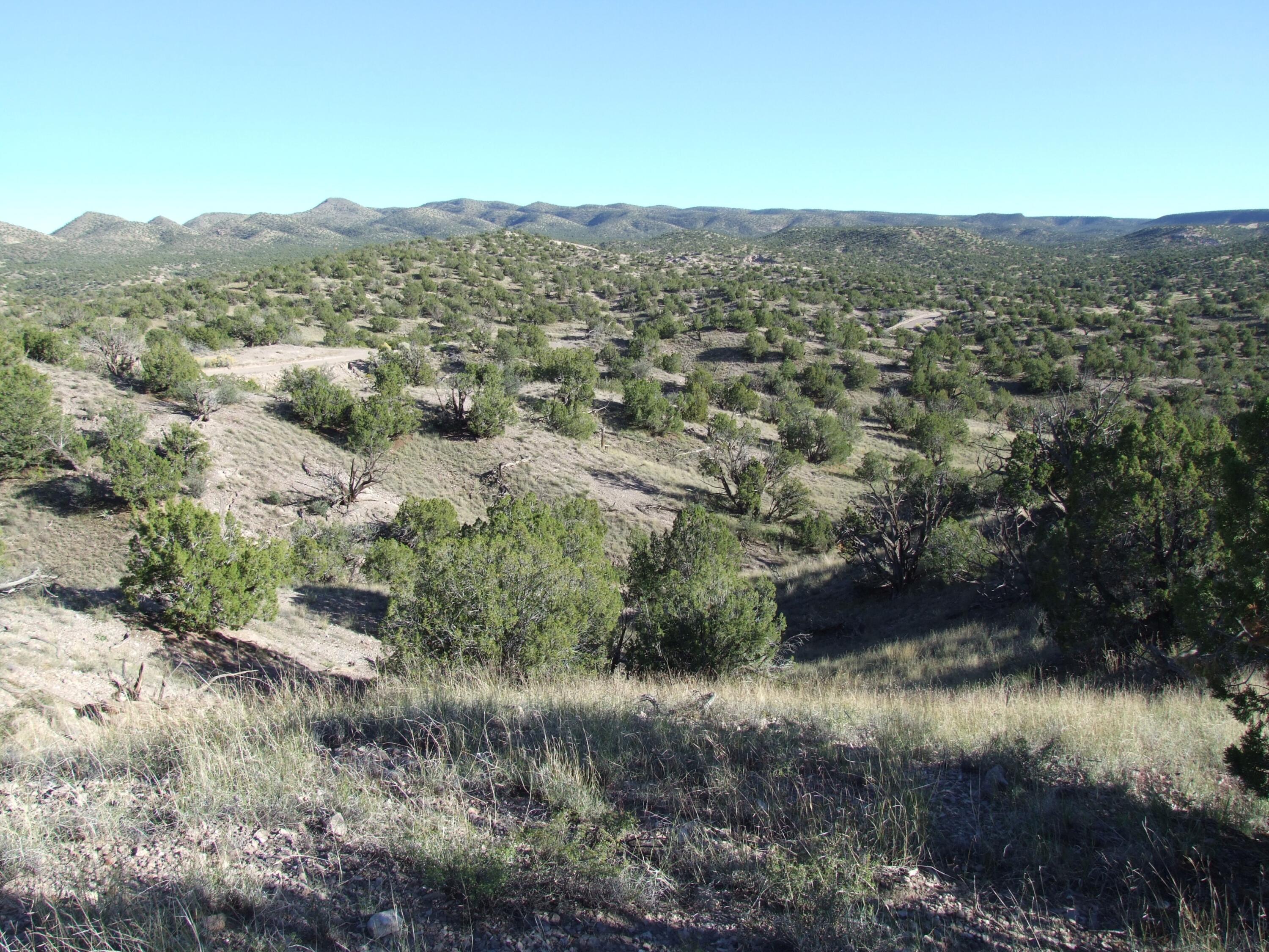 Abbe Springs Ranches Lot 115