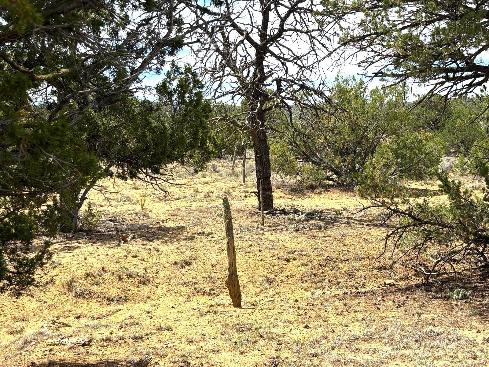 Lot 4 Slurry rd