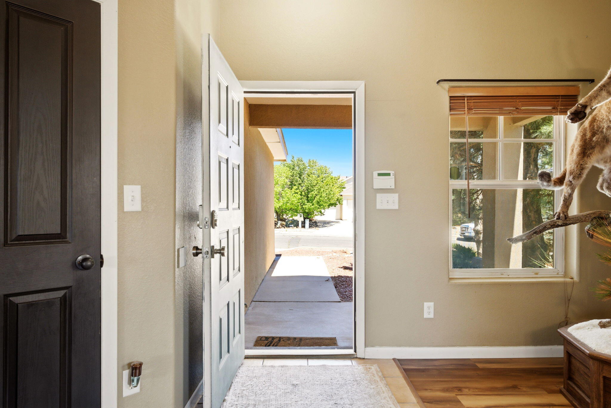 1460 Reynosa Loop SE