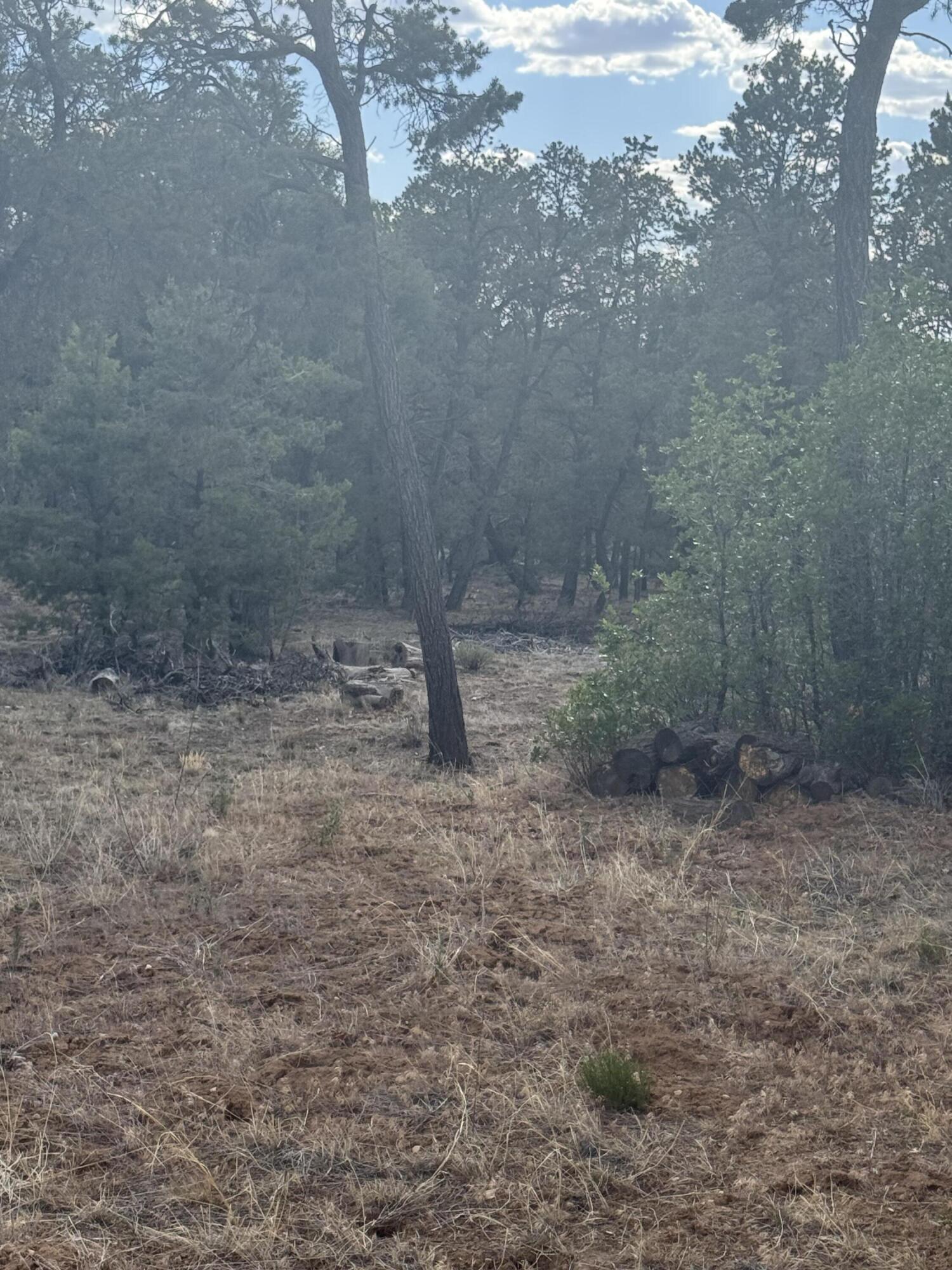 Nararjo Creek Road
