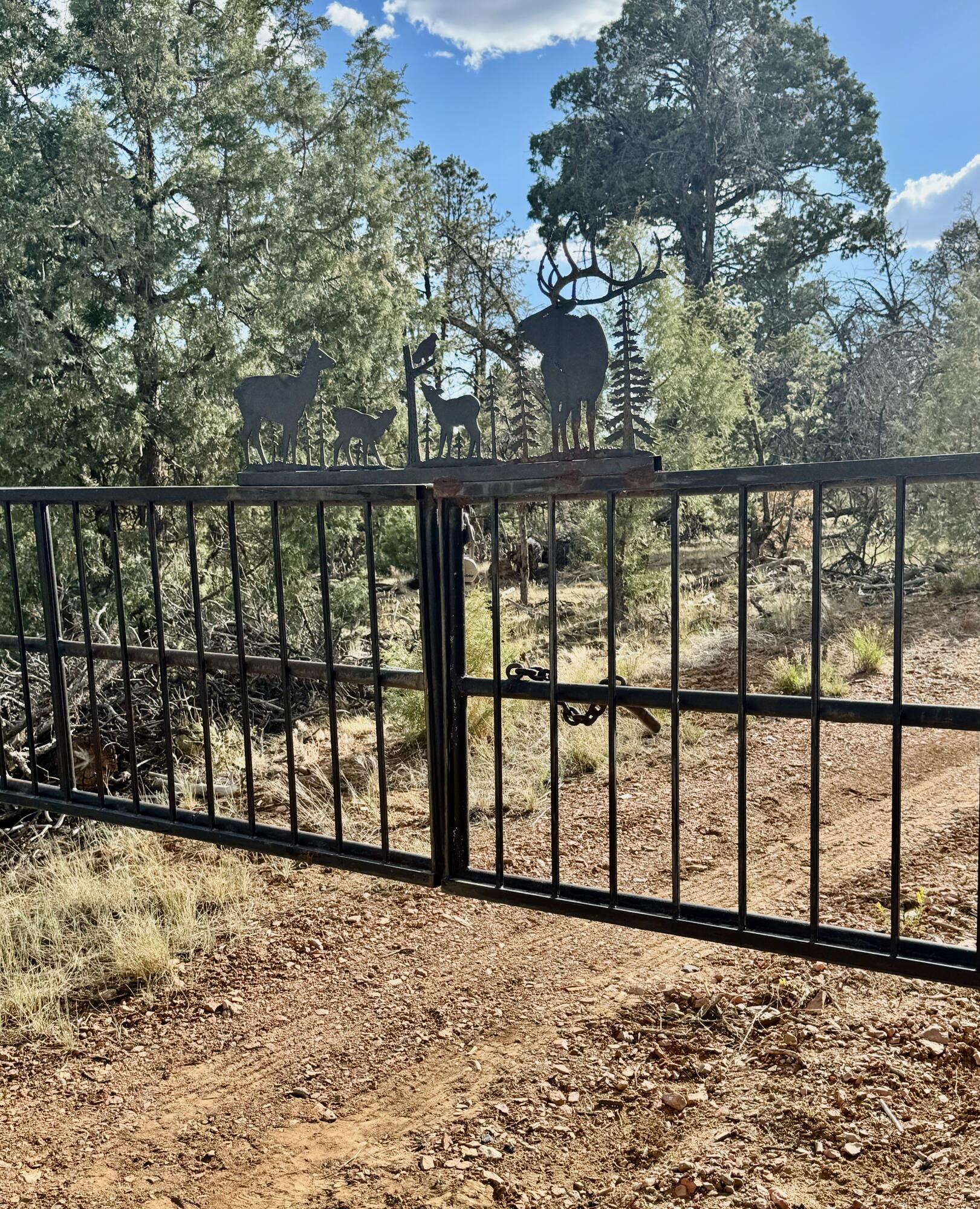 Nararjo Creek Road
