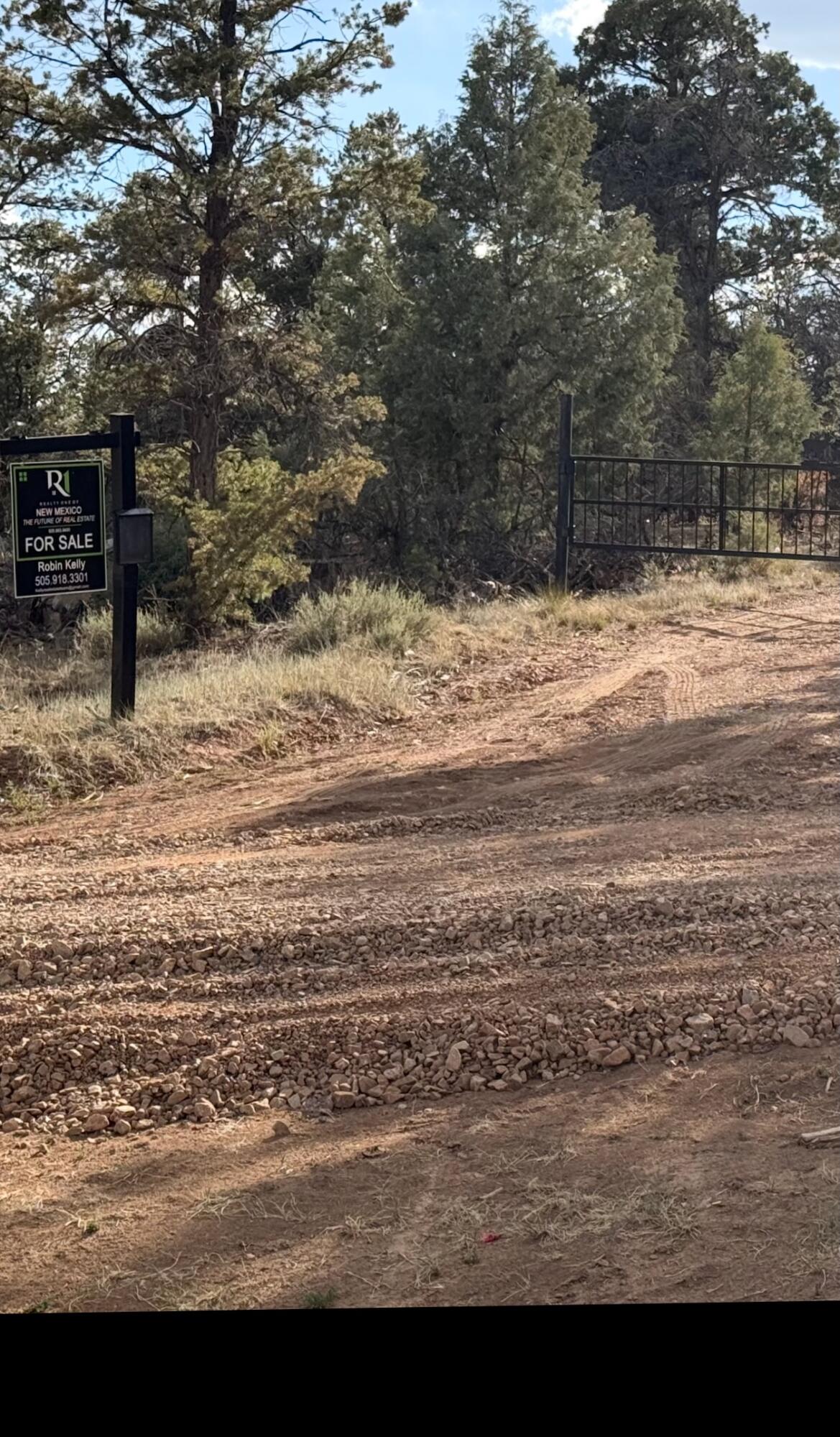Nararjo Creek Road