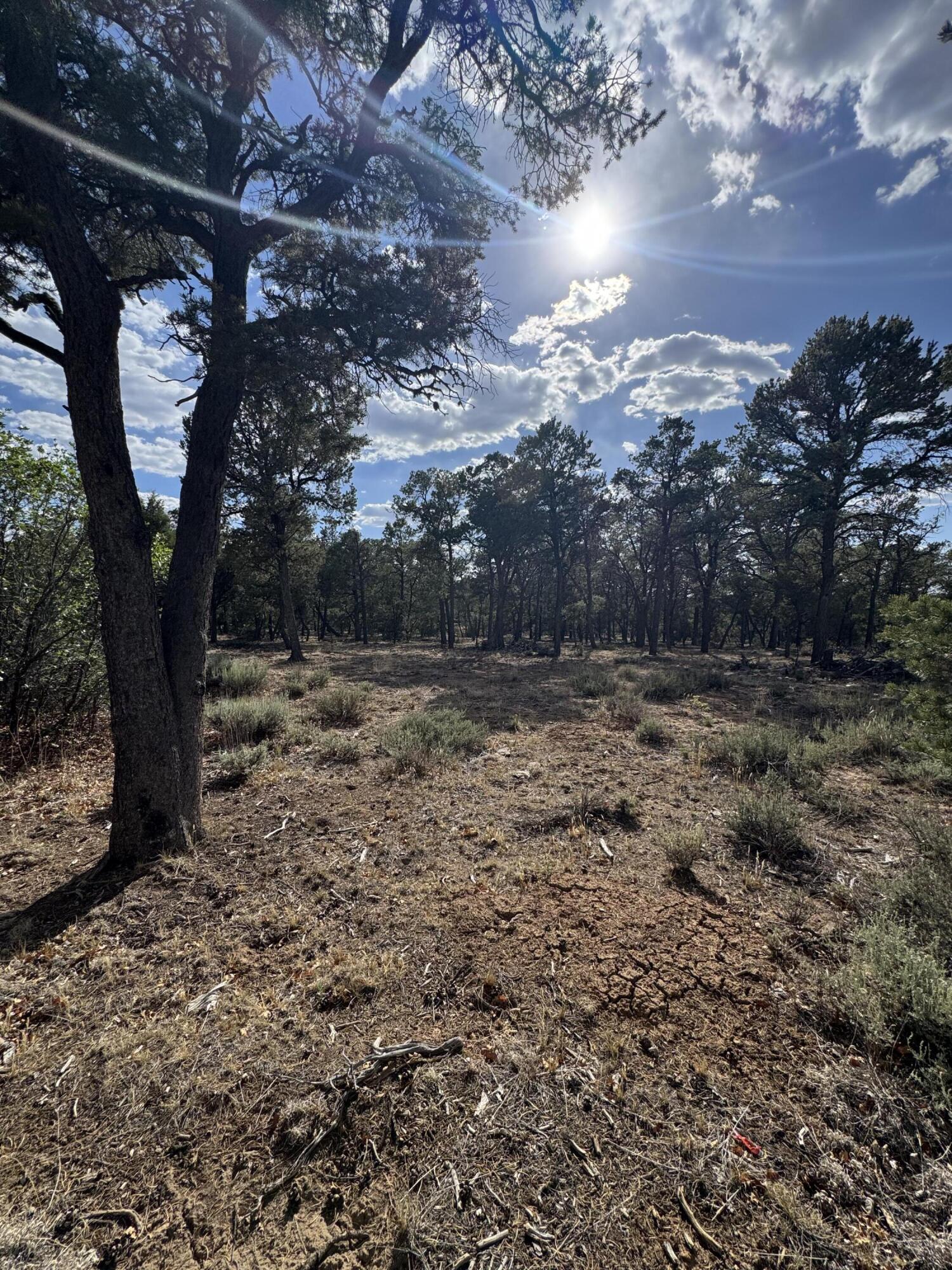 Nararjo Creek Road
