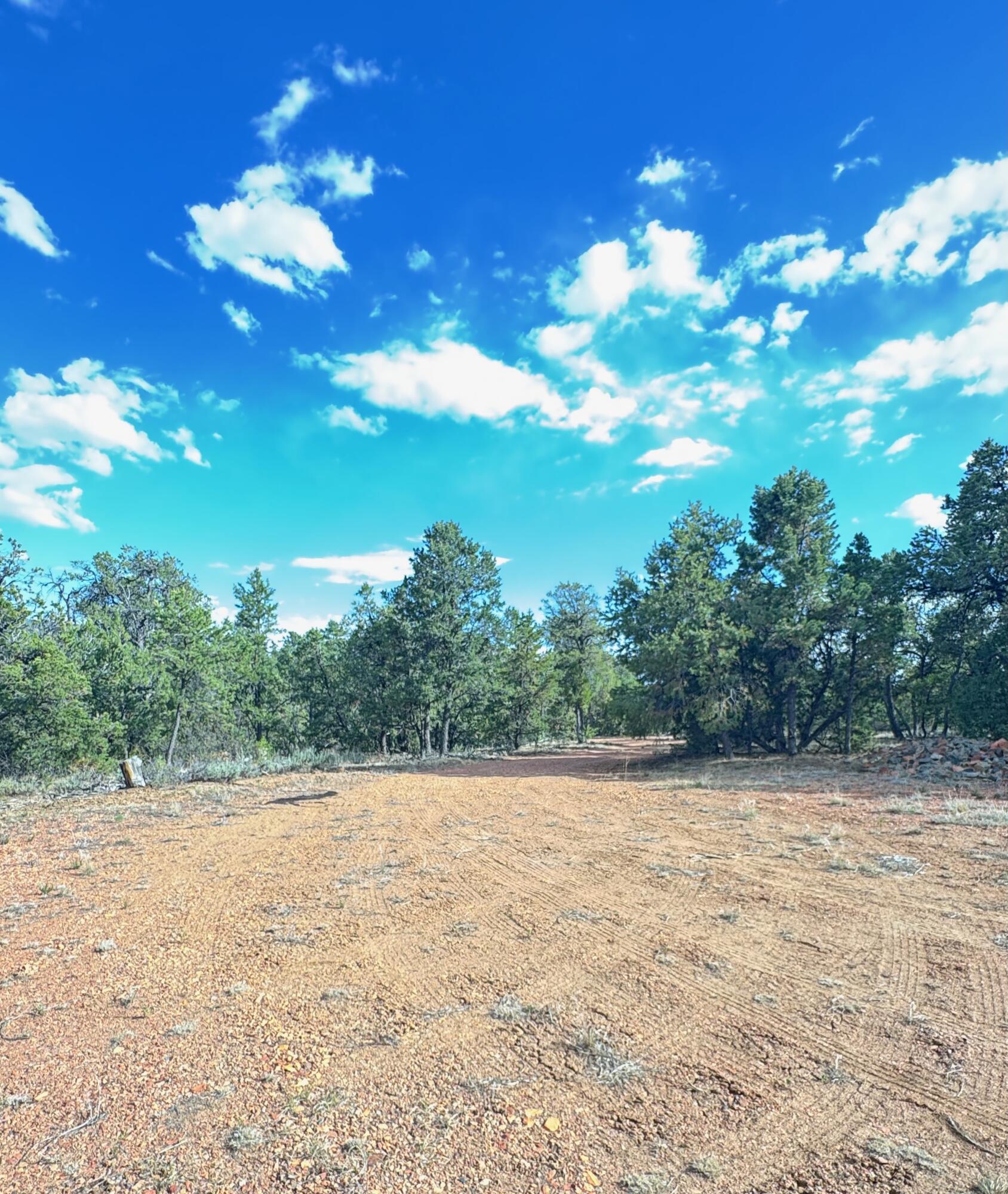 Nararjo Creek Road