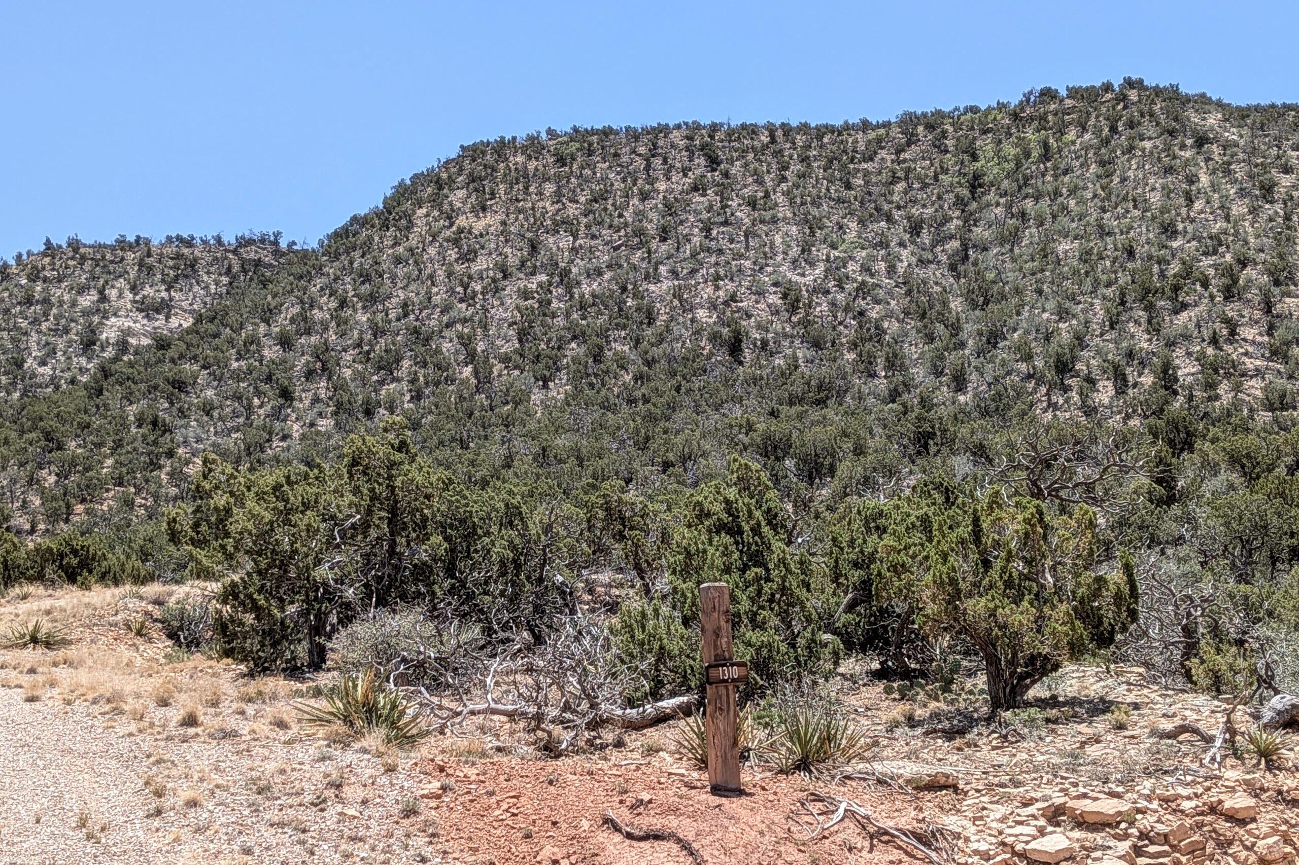 1310 Deer Canyon Trail