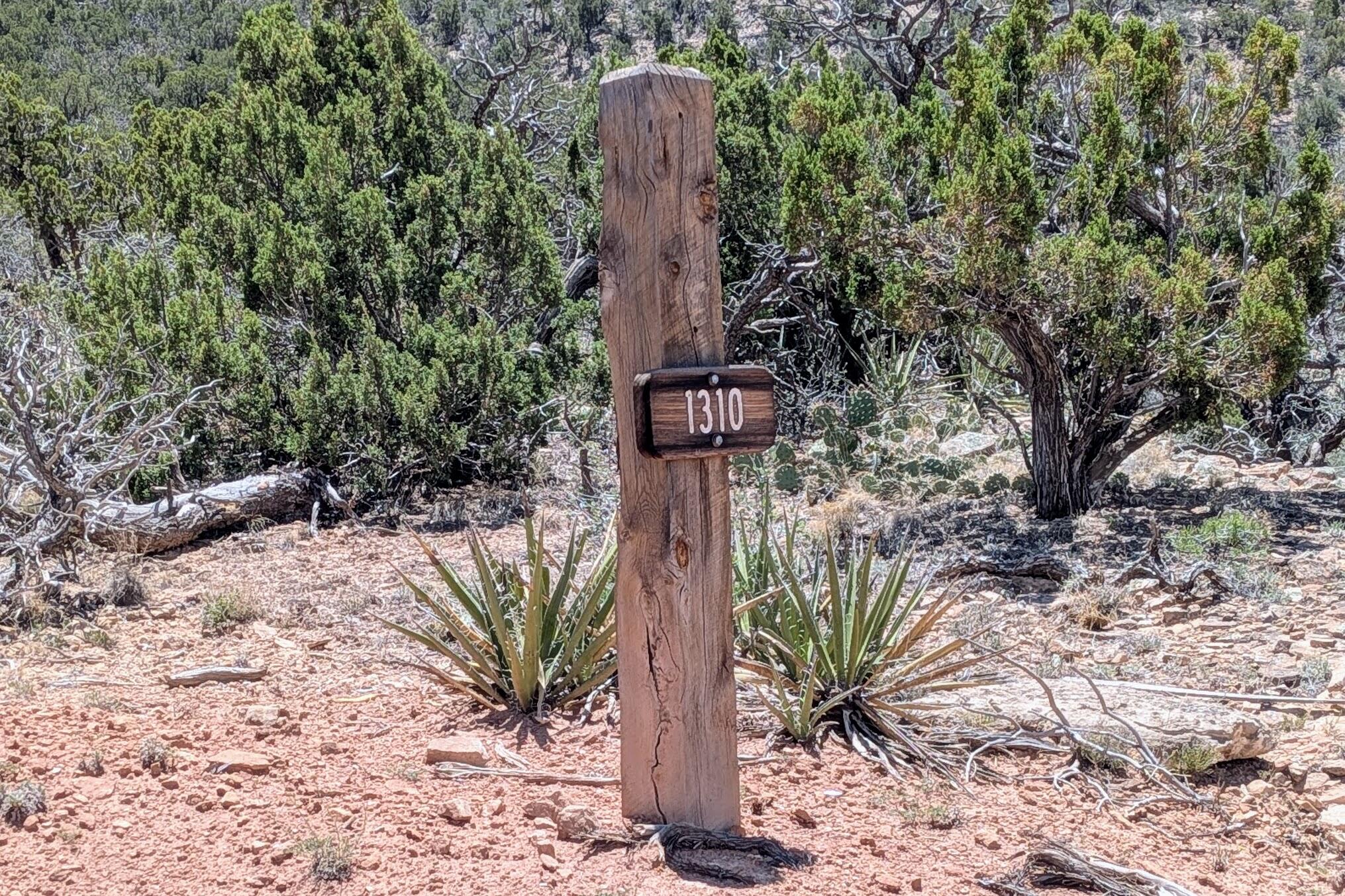 1310 Deer Canyon Trail