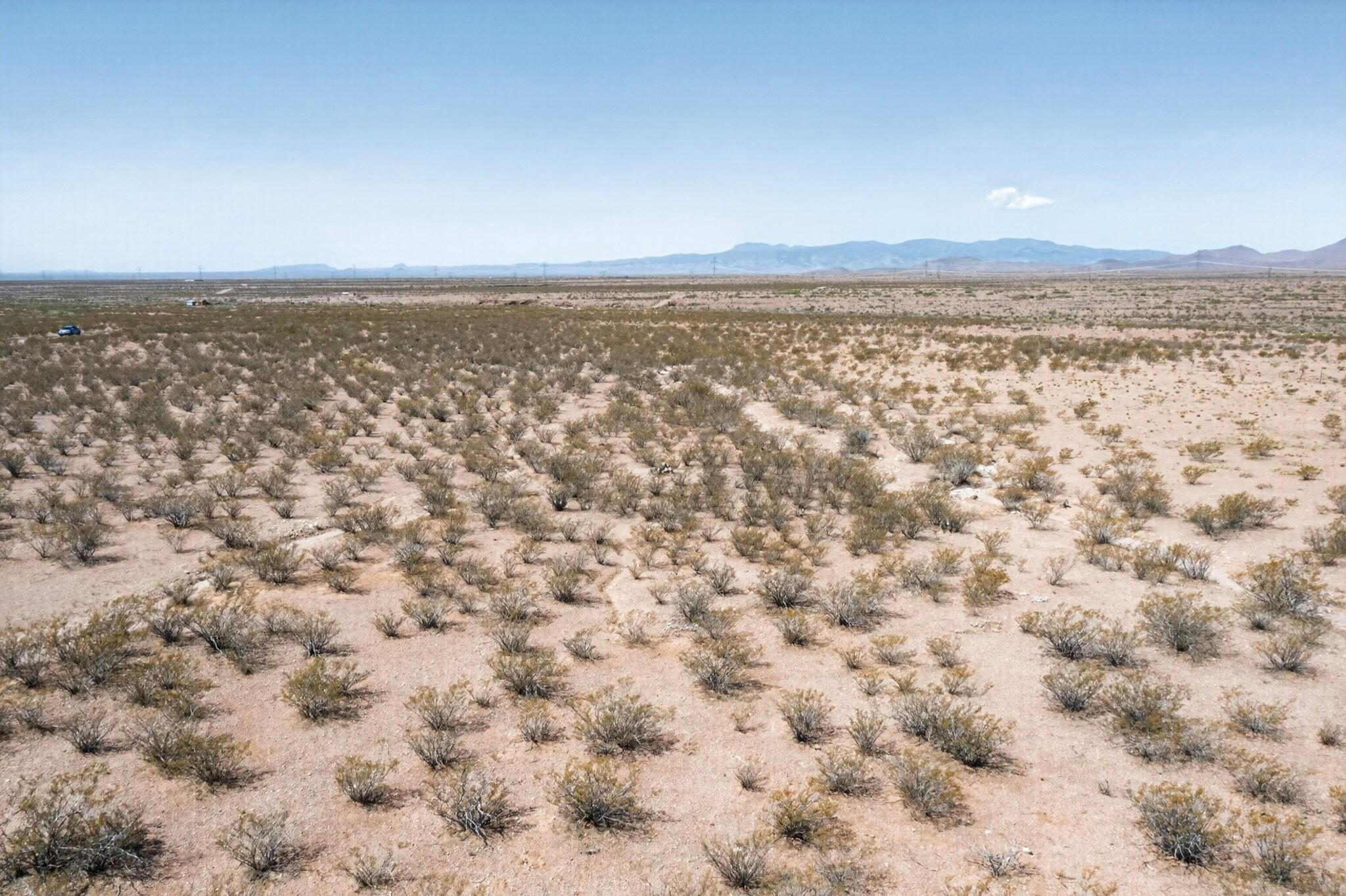 Coyote Springs Rd Road