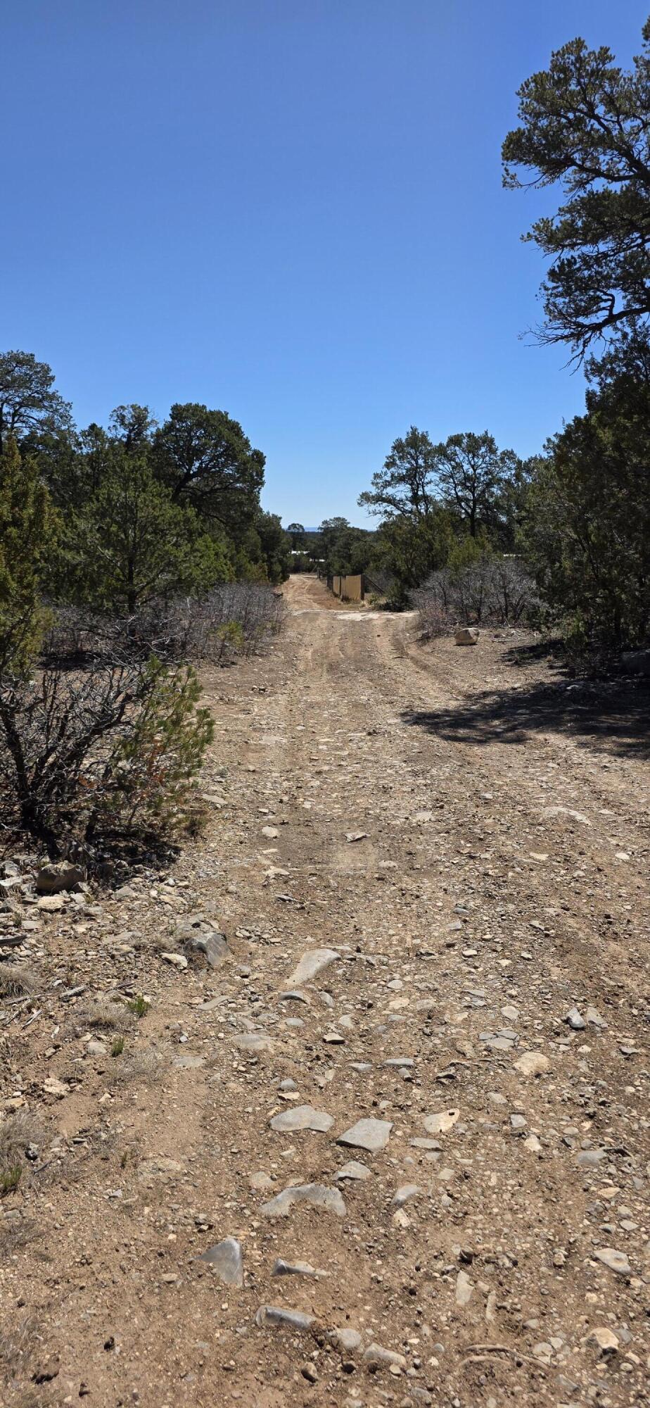 Chico Road R015120