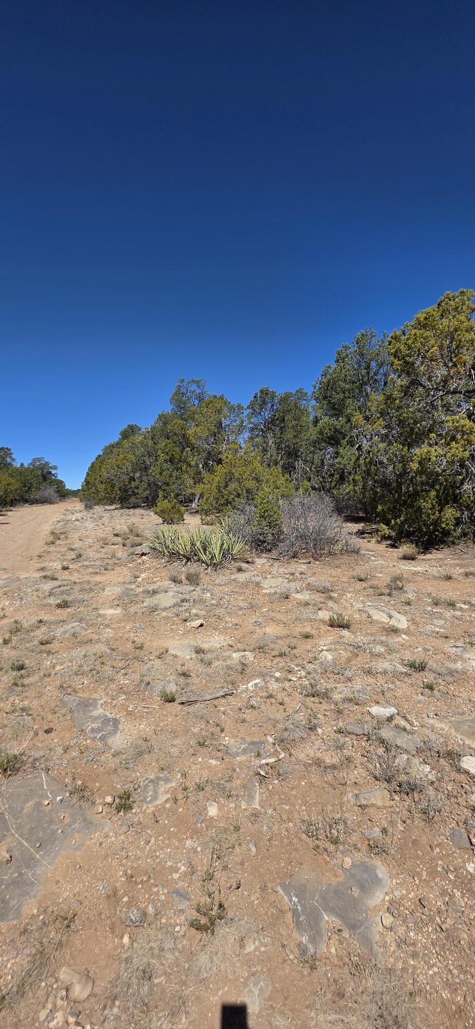 Chico Road R015120