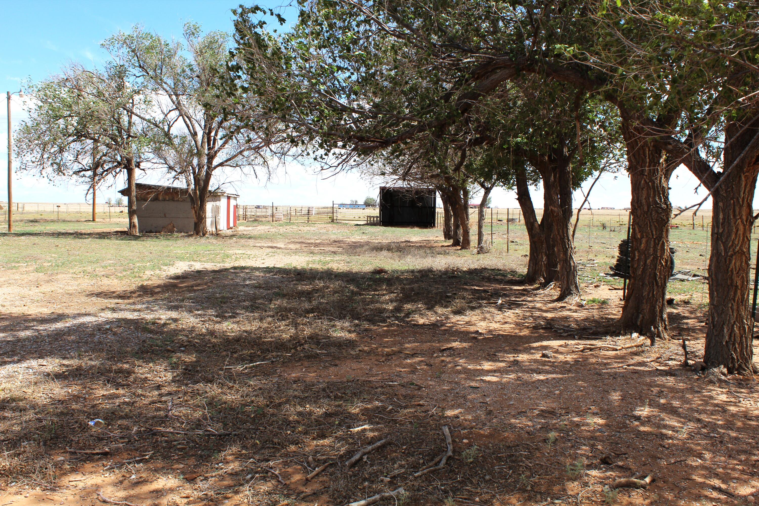 31 E Borachita Drive
