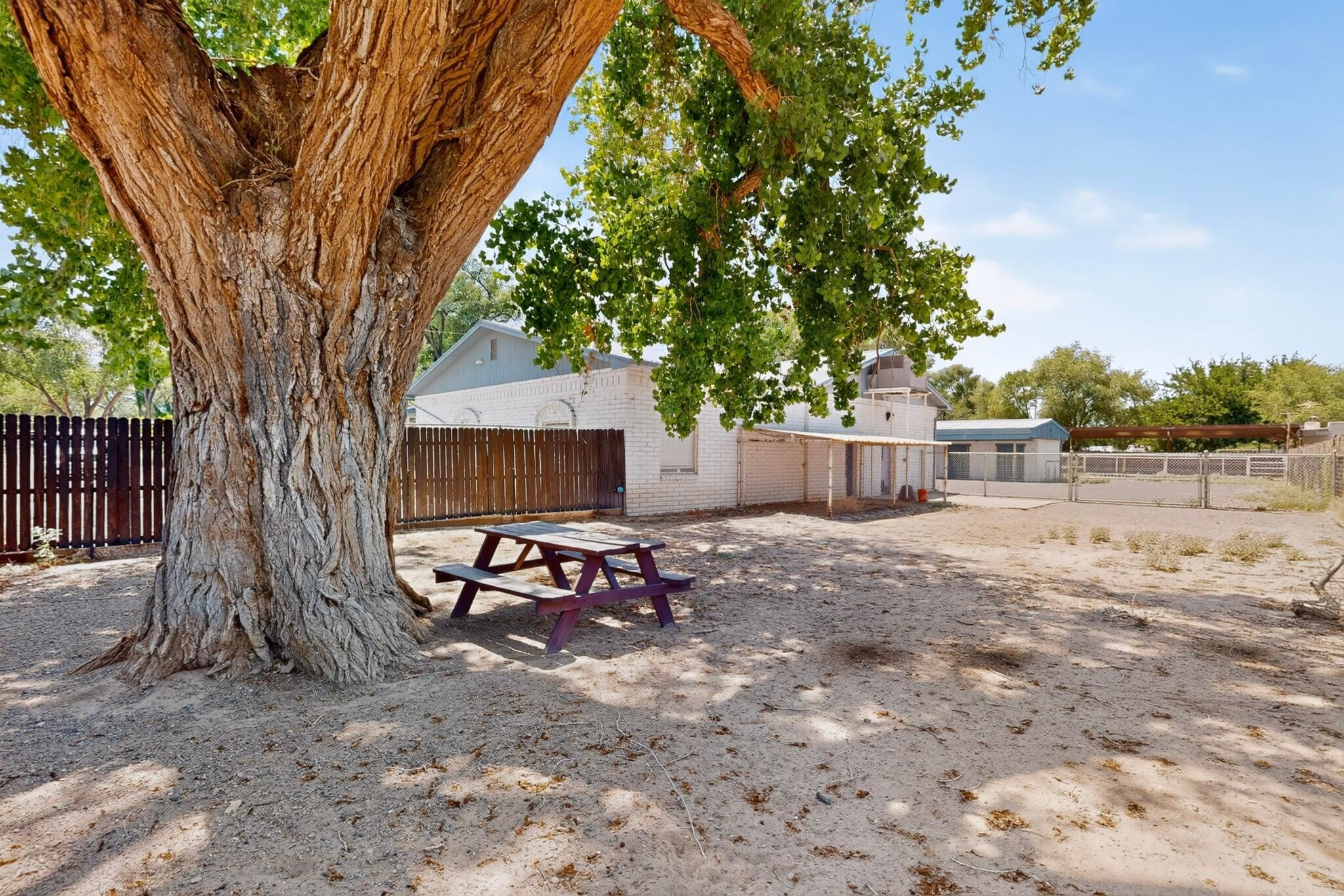 655 Country Lane
