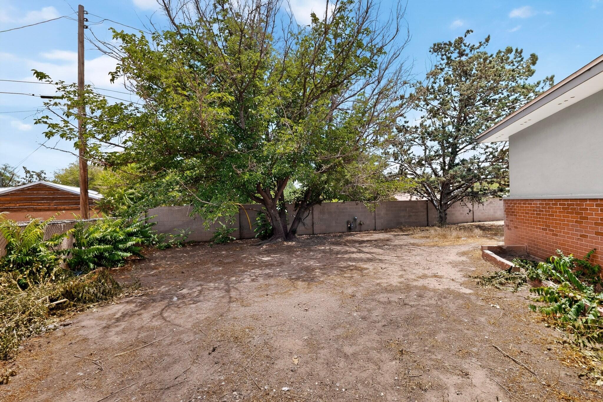 1603 Edith Drive