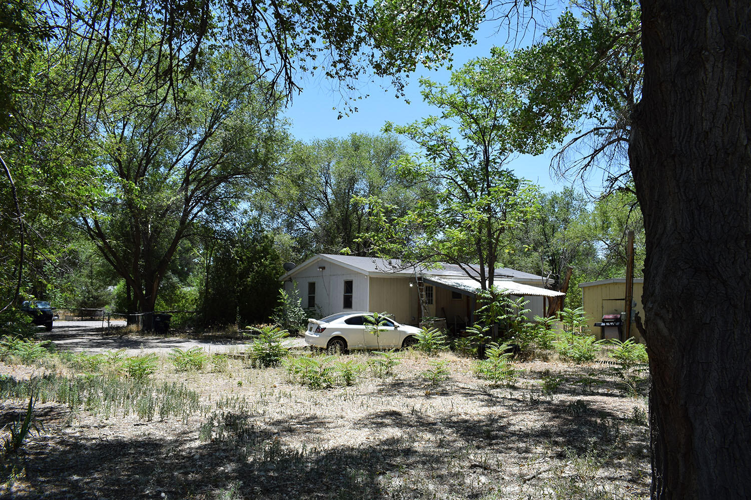 17 Mountain Laurel Street