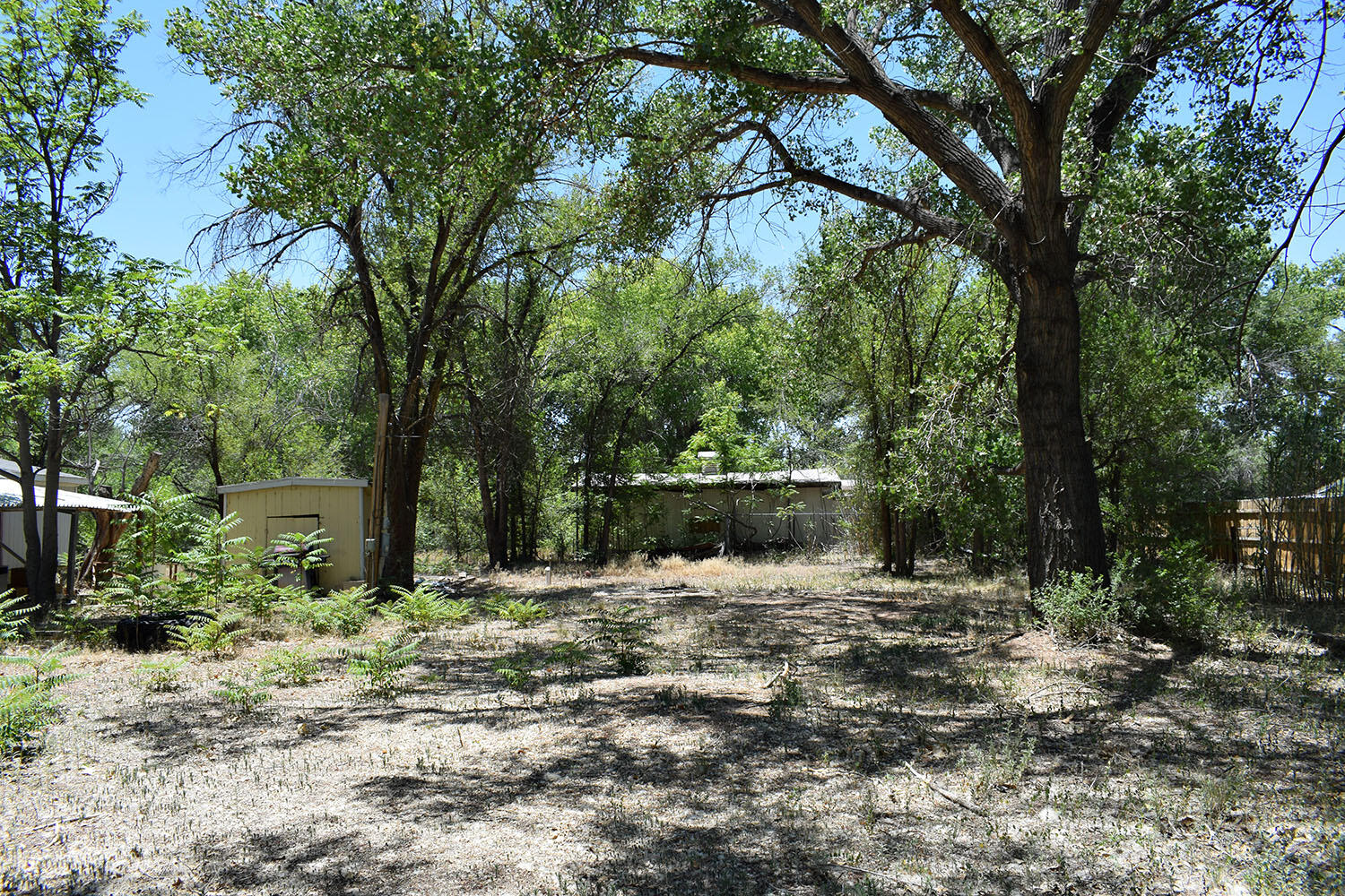 17 Mountain Laurel Street