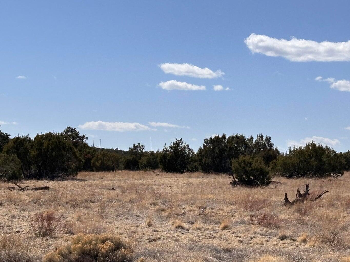 Lot 173 Campfire Rd Road