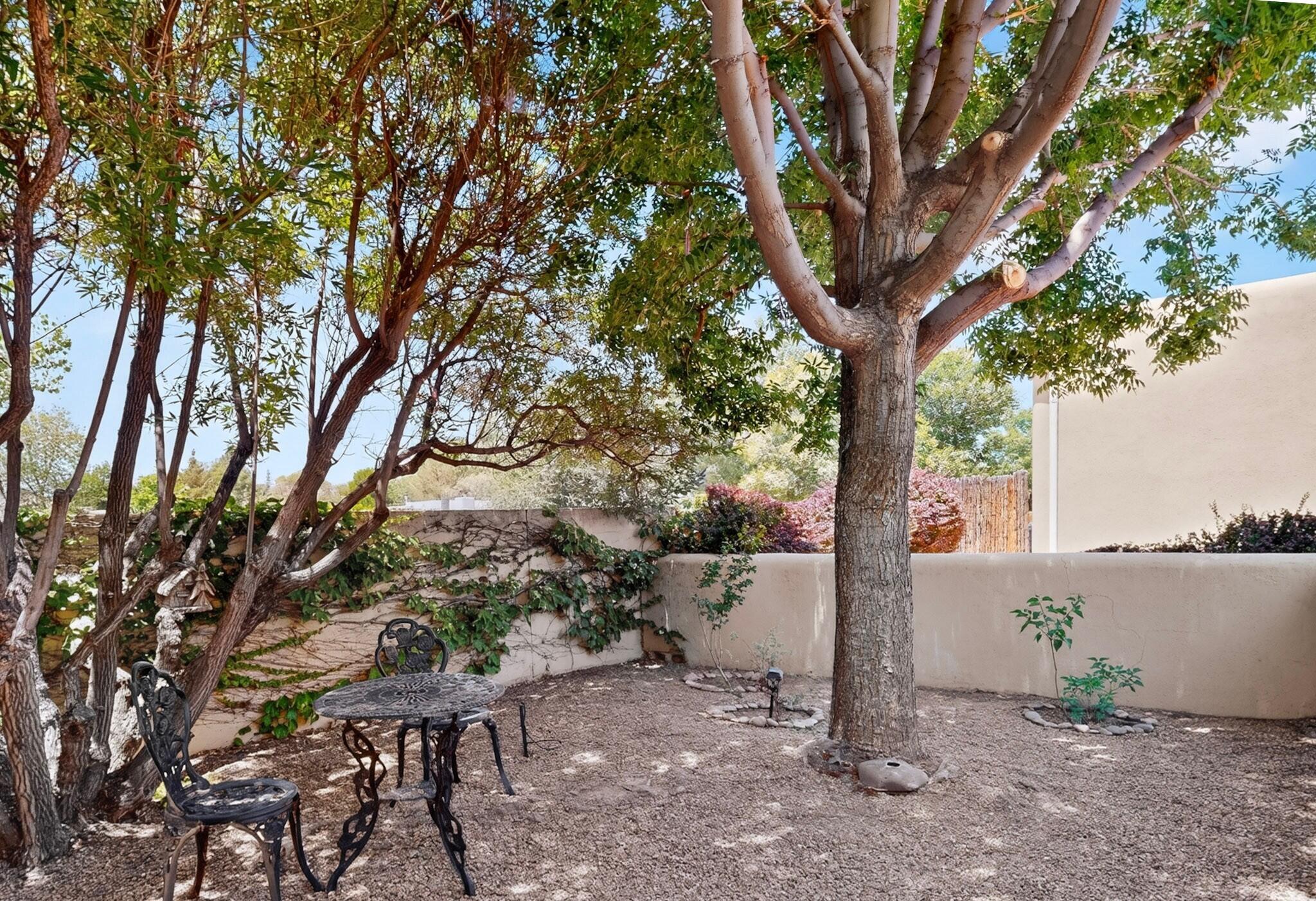 3009 Calle San Angel NW
