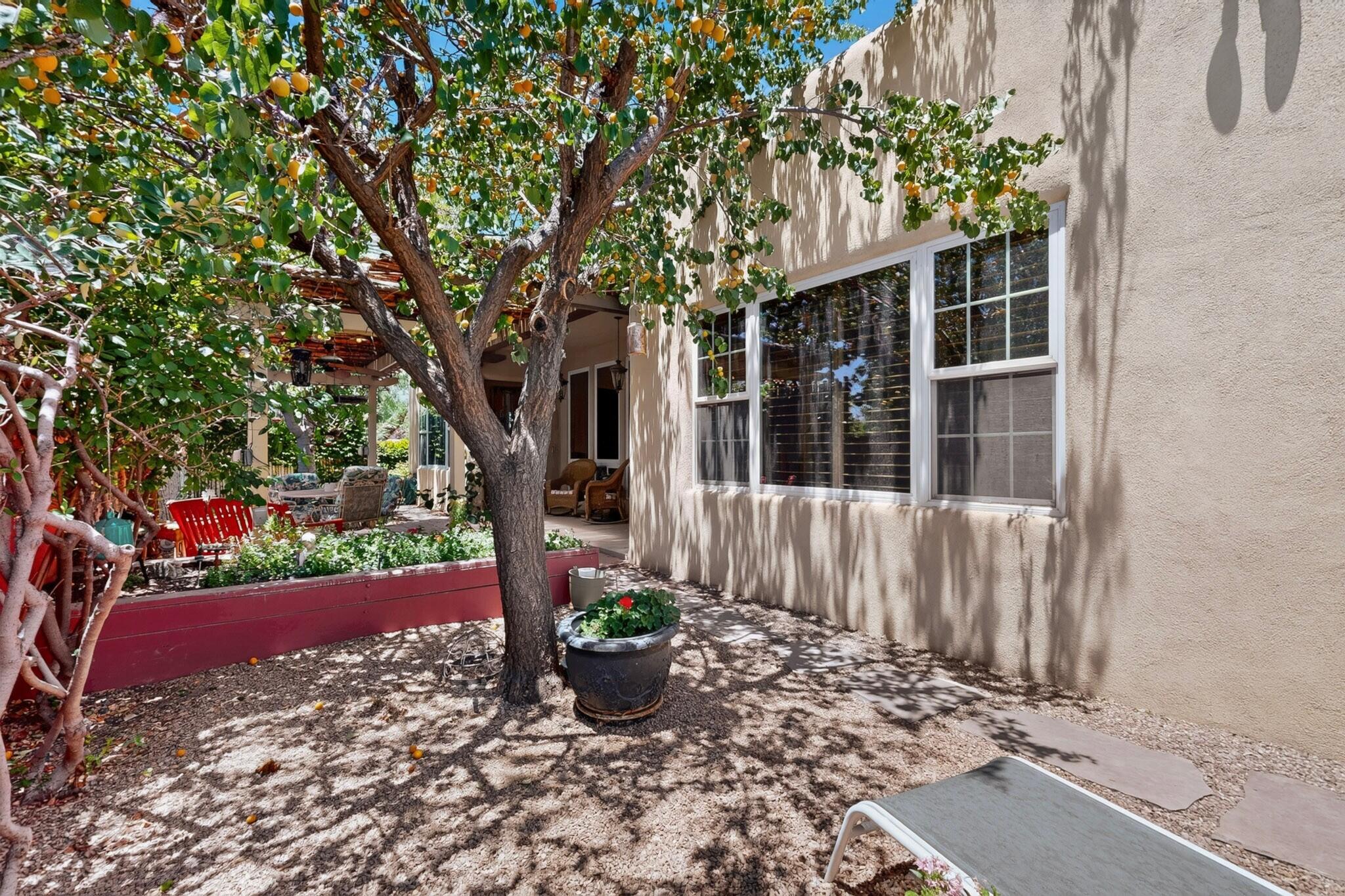 3009 Calle San Angel NW