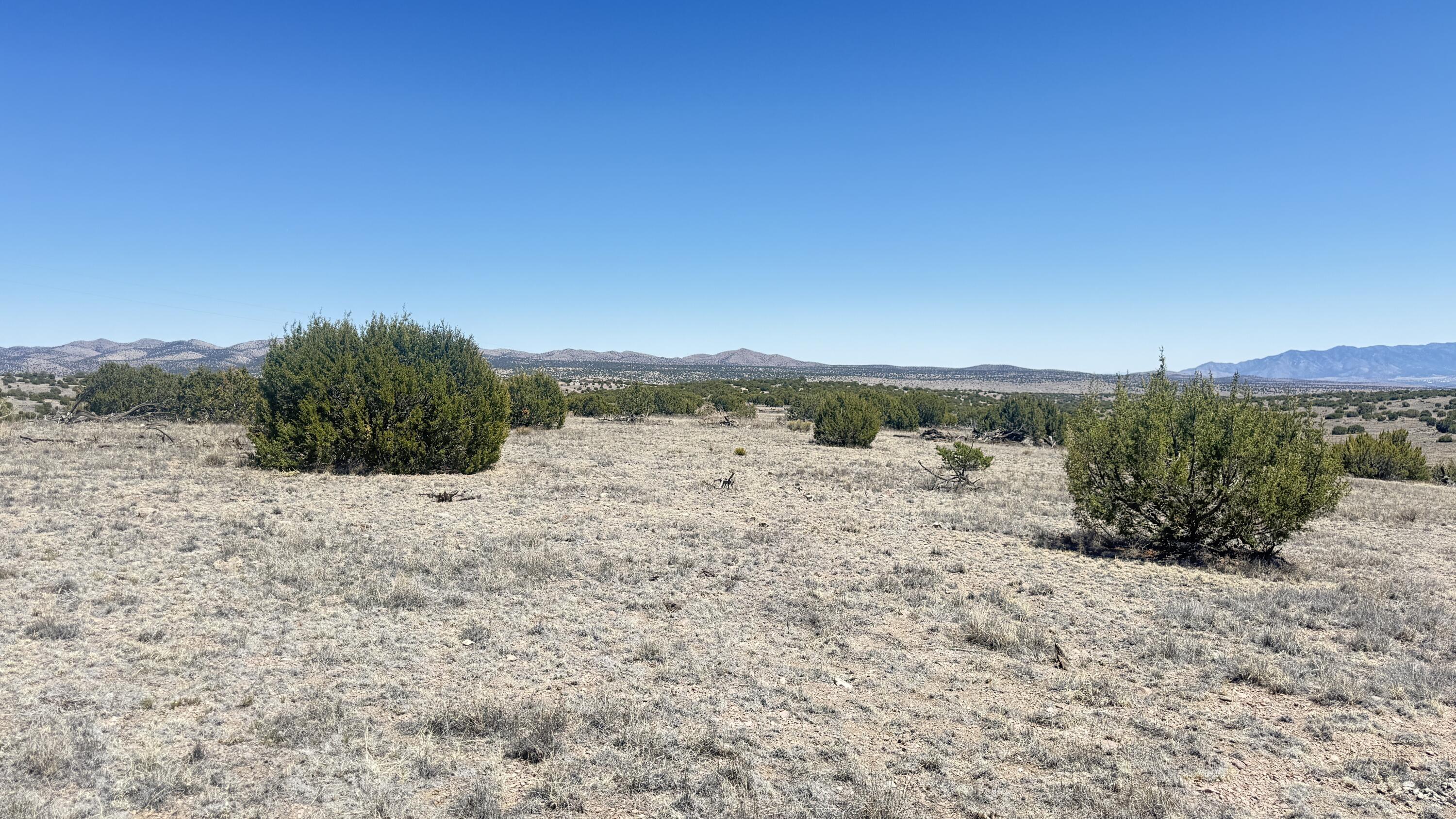Lot 161 Pinon Springs