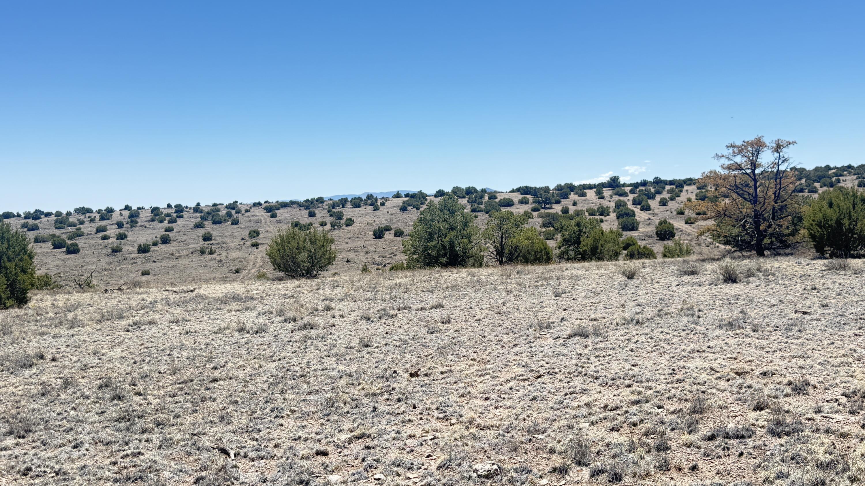 Lot 161 Pinon Springs